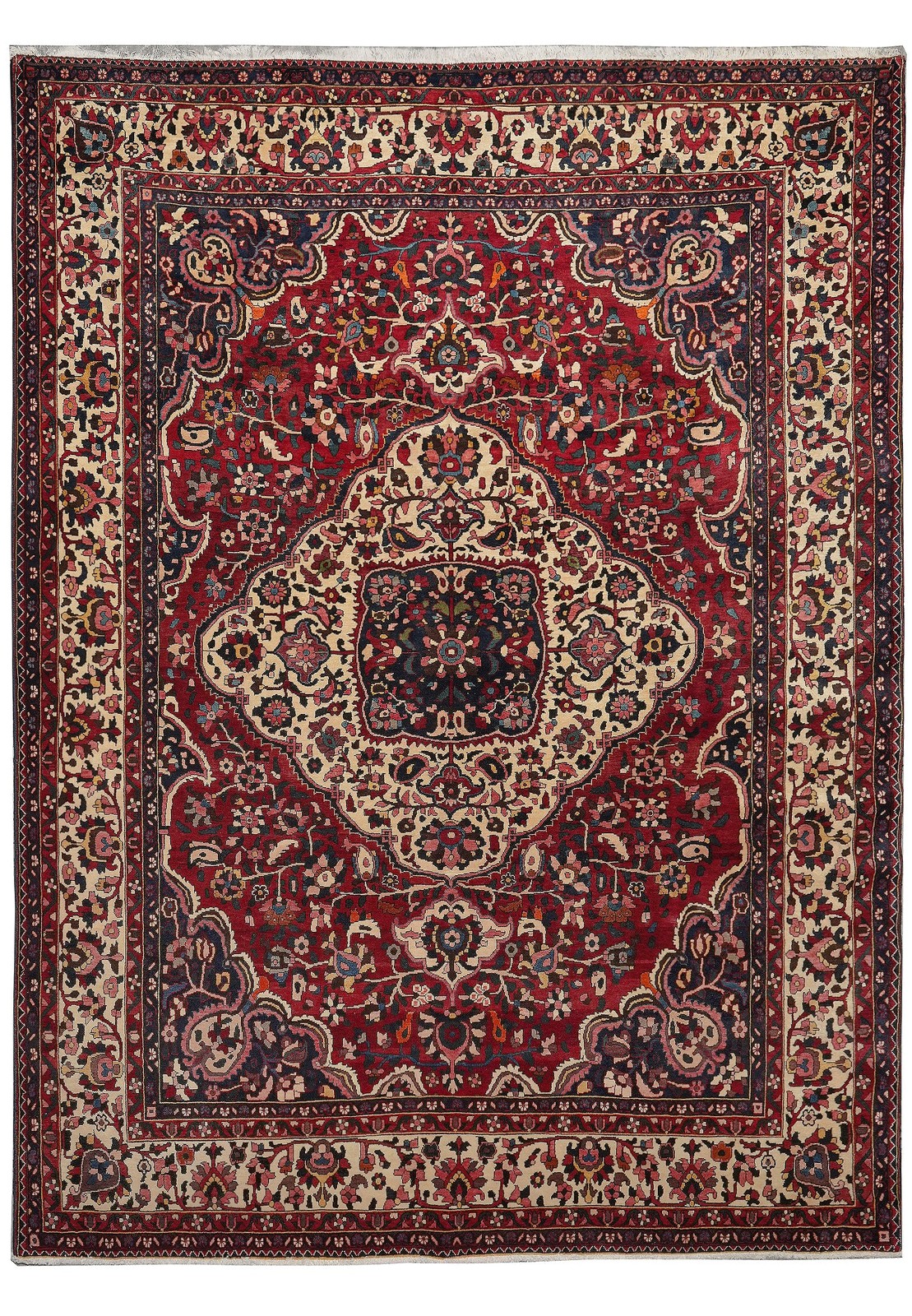 9 x 12 Perrsian Hand-knotted Tribbal Bakhtiaar Rug #F-4660