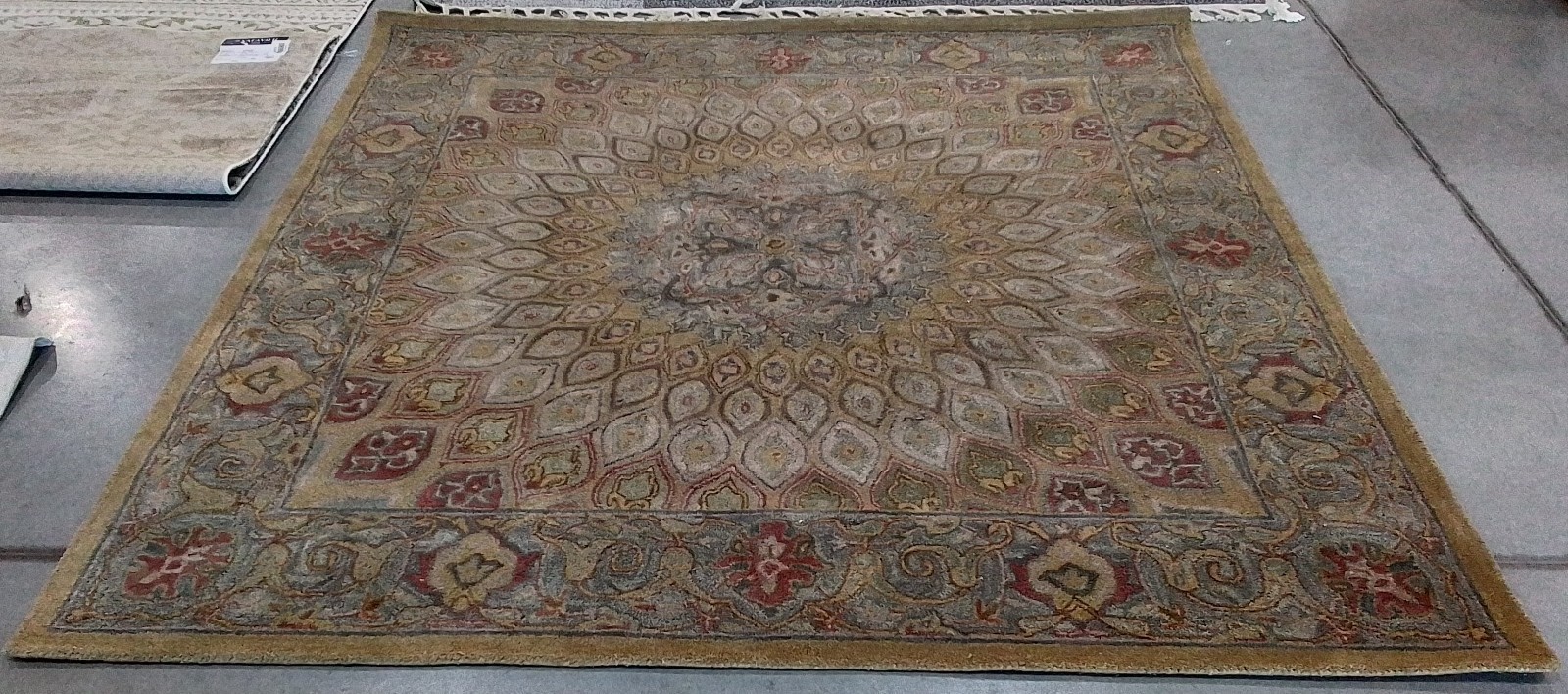 L BROWN / GREY 8′-0″ x 8′-0″ Back Stain Rug, Reduced Price 1172784641 HG914A-8SQ