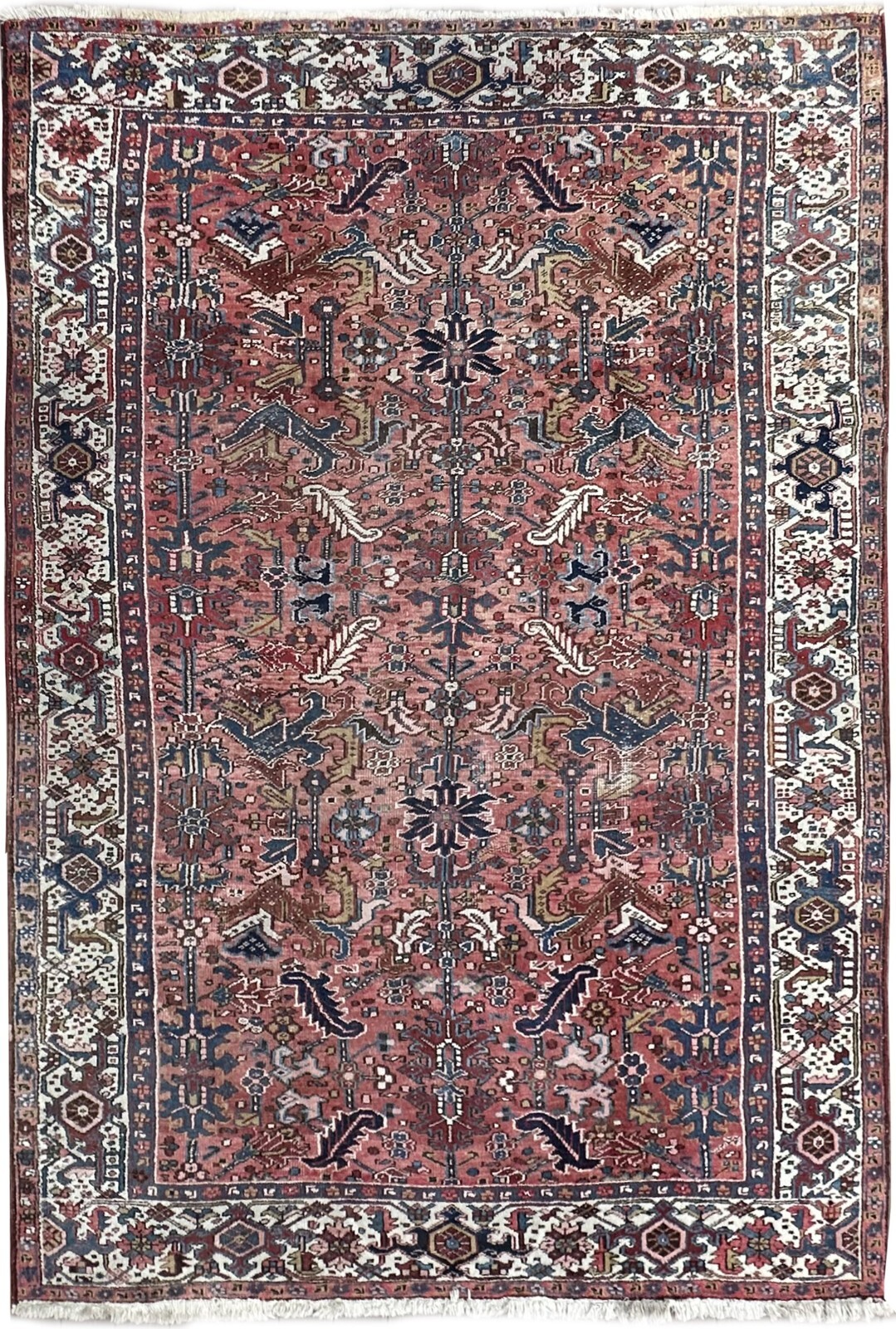 8×11 Antique Traditional Geometric Handmade Rose Wool Area Rug Classic Design