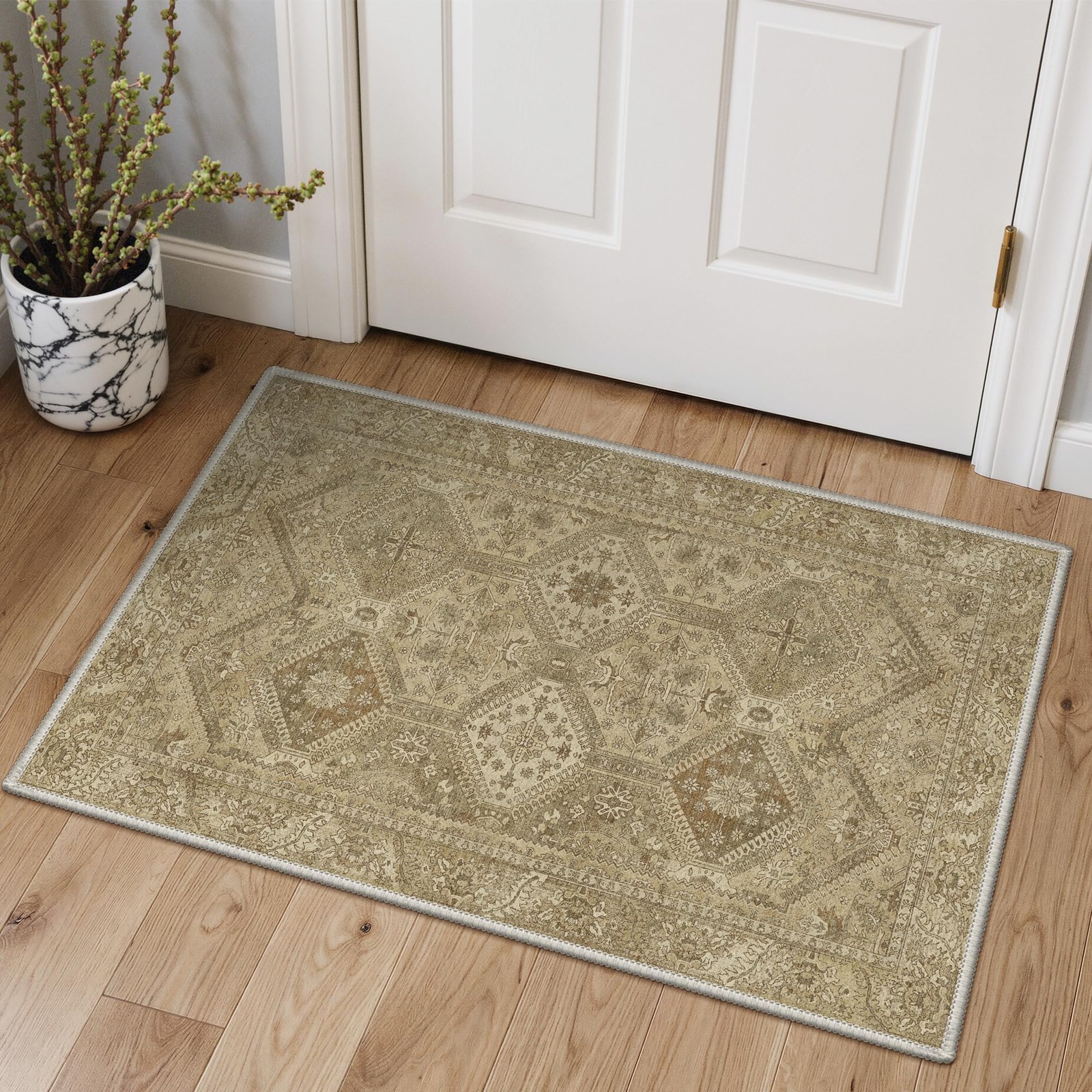 Area Rug 2×3 Doormat, Machine Washable Low Pile Rugs, Small Entryway Mat for …