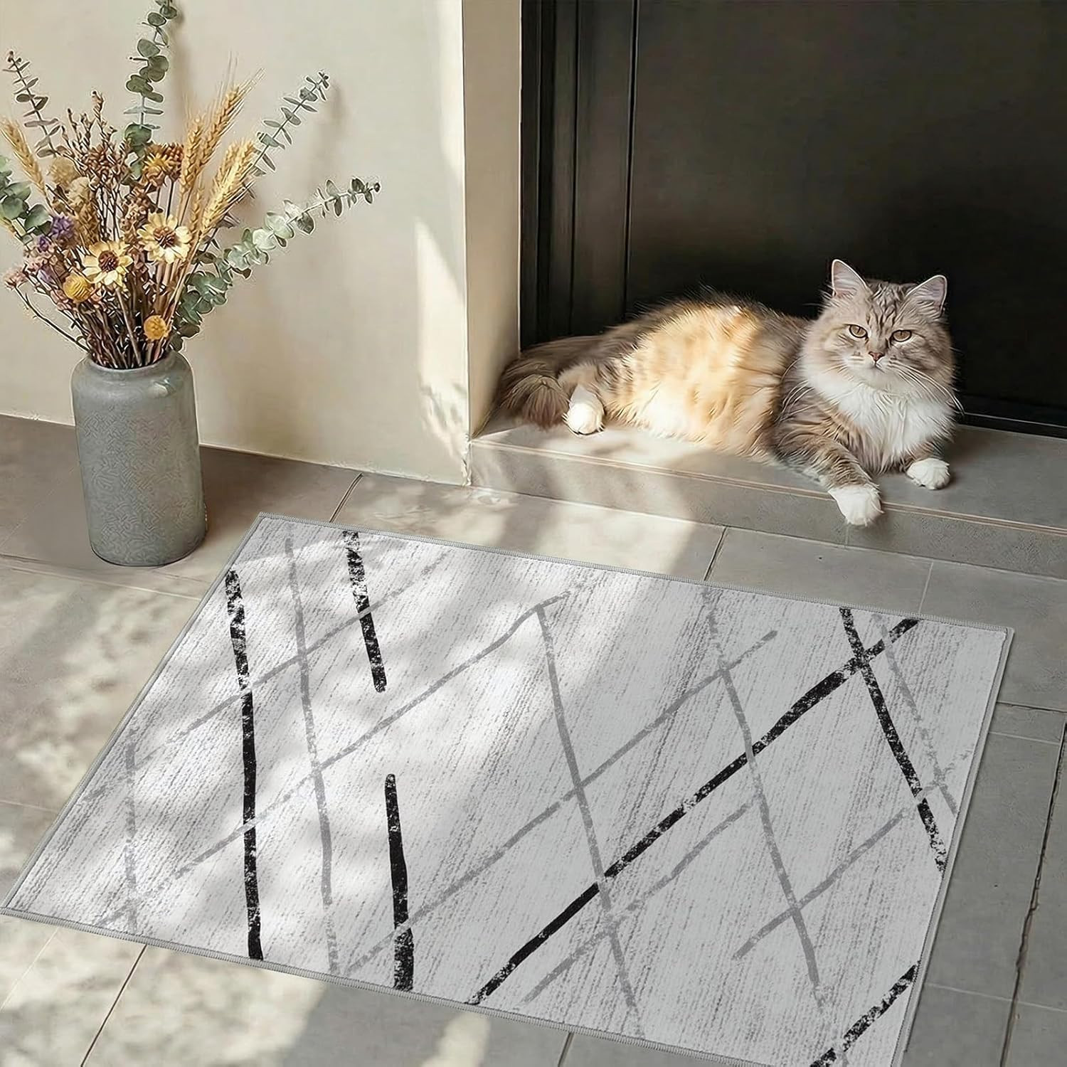 jinchan Modern Washable Rug 2×3 for Entryway, Moroccan Geometric Doormat, Non-Sl