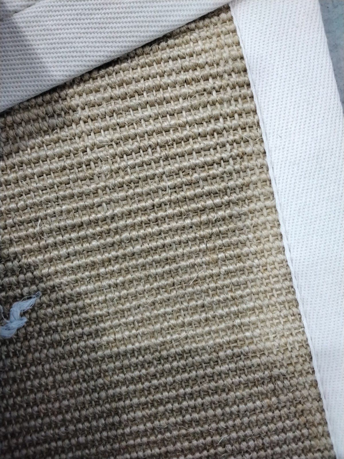 MAIZE / WHEAT 2′-6″ X 12′ Back Stain Rug, Reduced Price 1172738523 NF441K-212