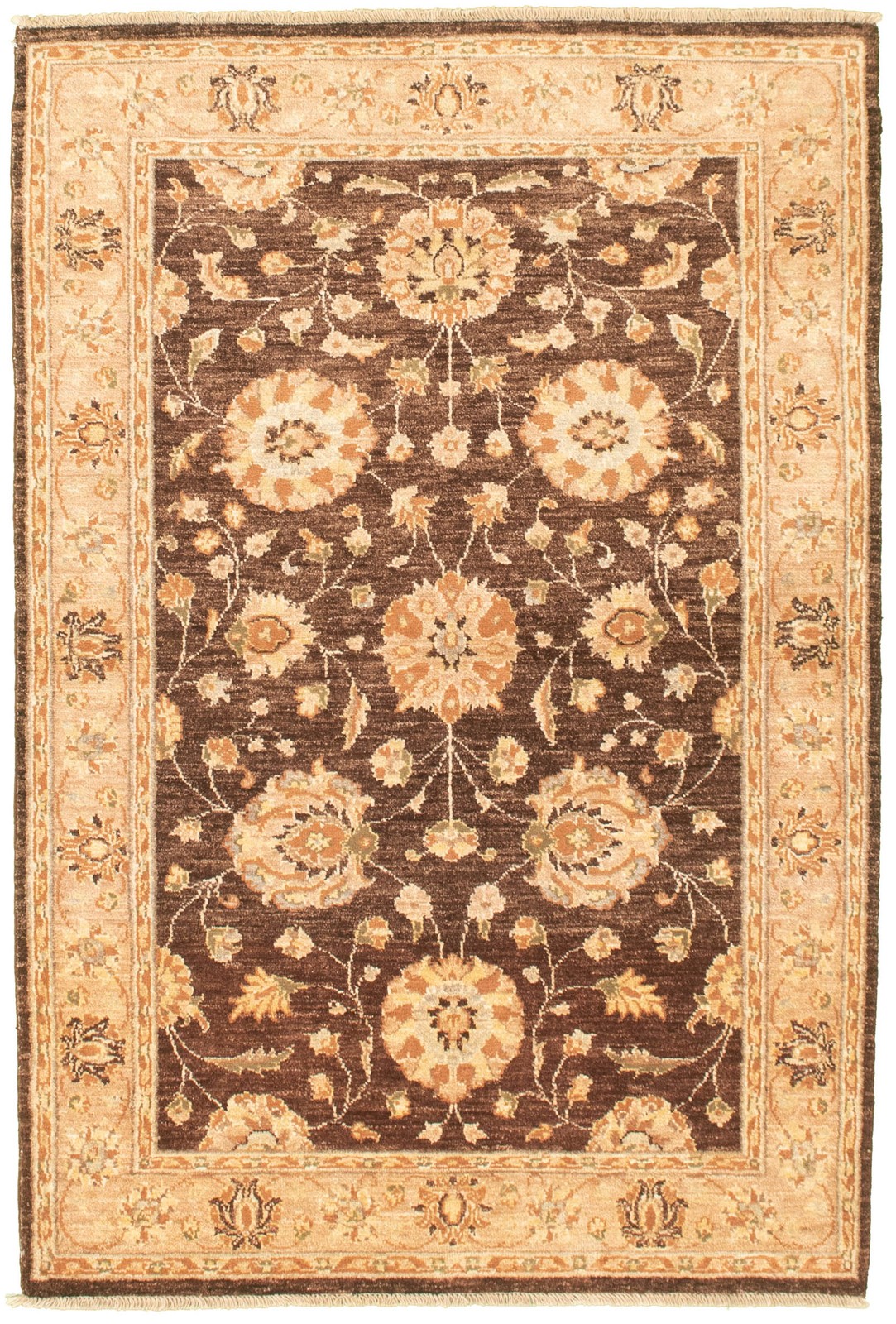 Traditional Hand-knotted Carpet 4’0″ x 6’0″ Wool Oriental Area Rug