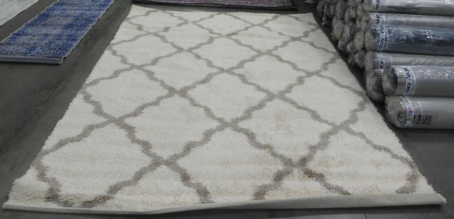 IVORY / BEIGE 8′ X 10′ Back Stain Rug, Reduced Price 1172623813 SGD257B-8