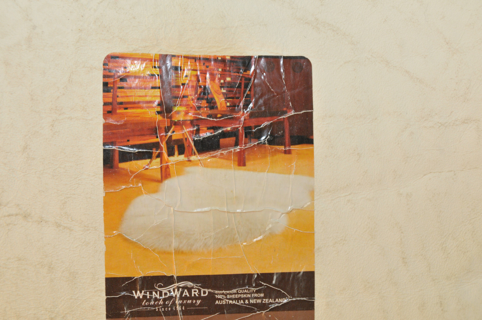 Sheepskin Rug by Windward Australia New Zealand Approx 30 x 40 inches Wool
