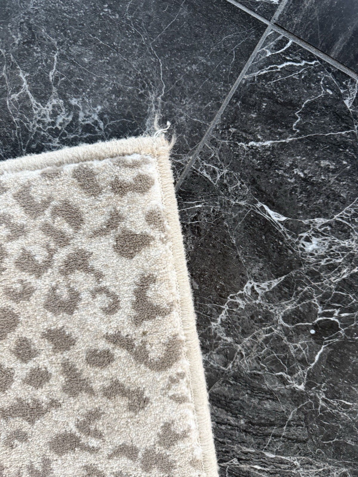 Stark Studio 4 x 6 Kalahari Area Rug