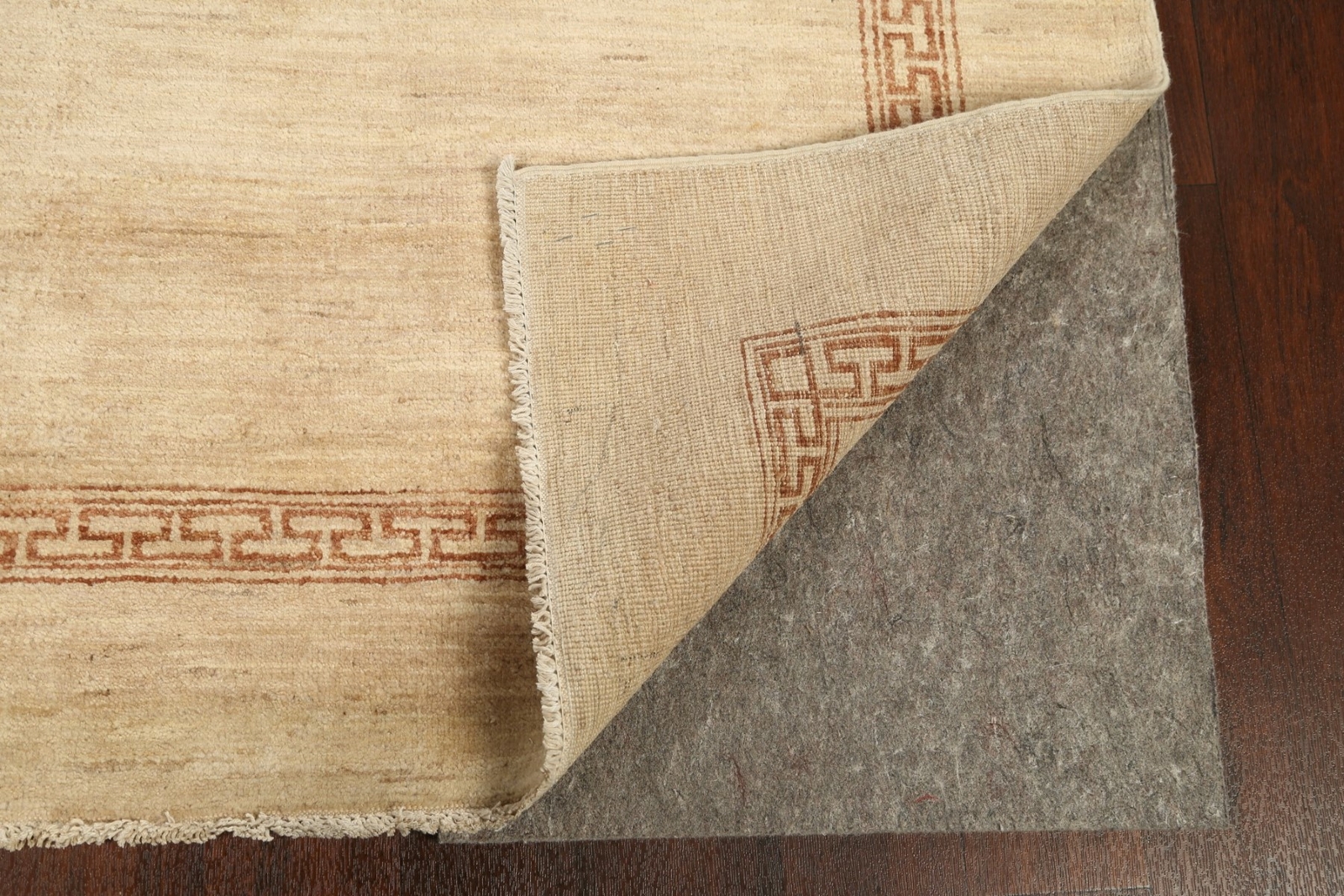 Modern Beige Bordered Gabbeh Oriental Area Rug Hand-Knotted Wool 4×6 Carpet