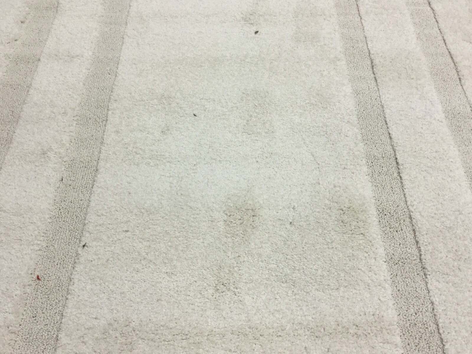 CREME / CREME 6′ X 9′ Back Stain Rug, Reduced Price 1172630878 SG454-1111-6