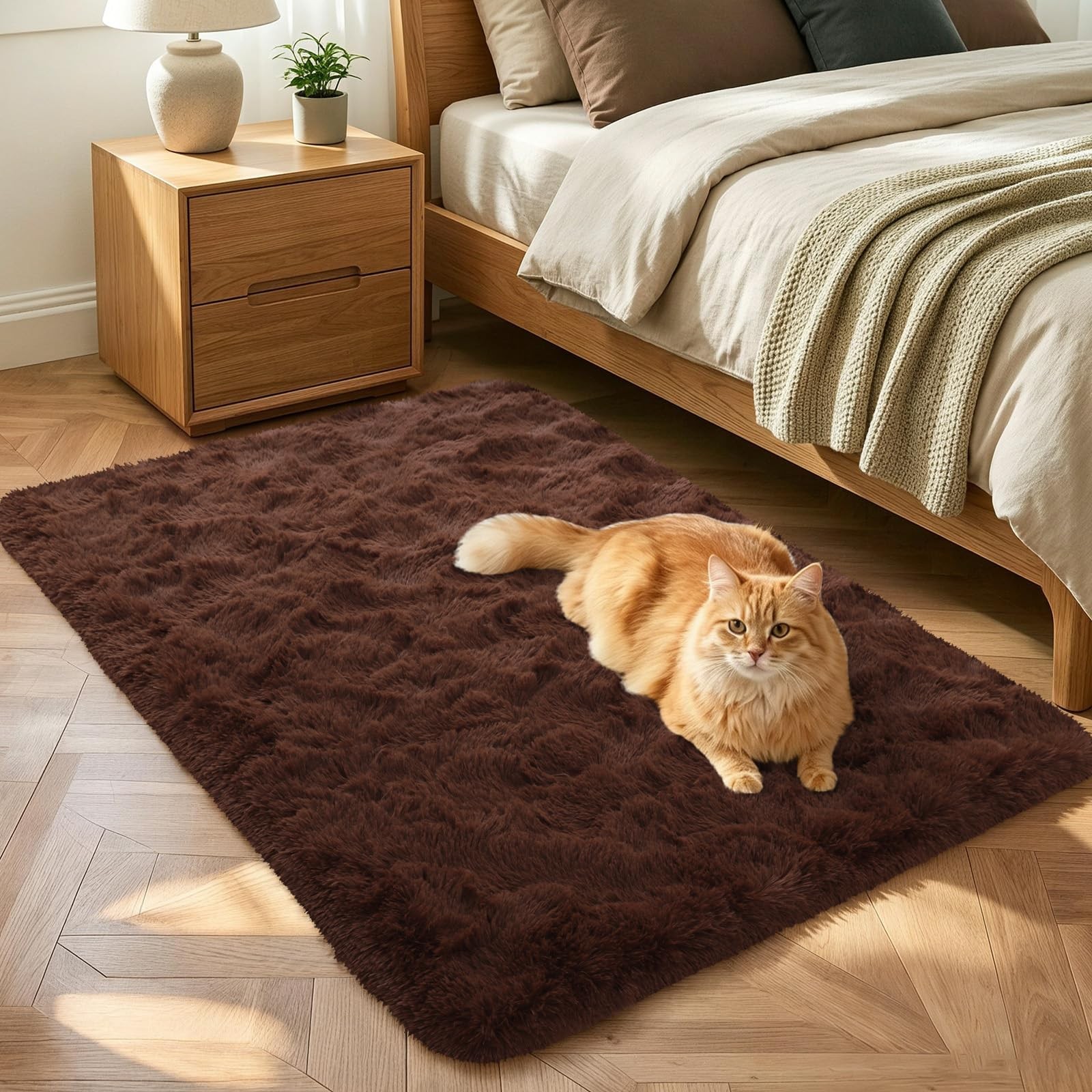 Noahas Brown 2×3 Shag Rug