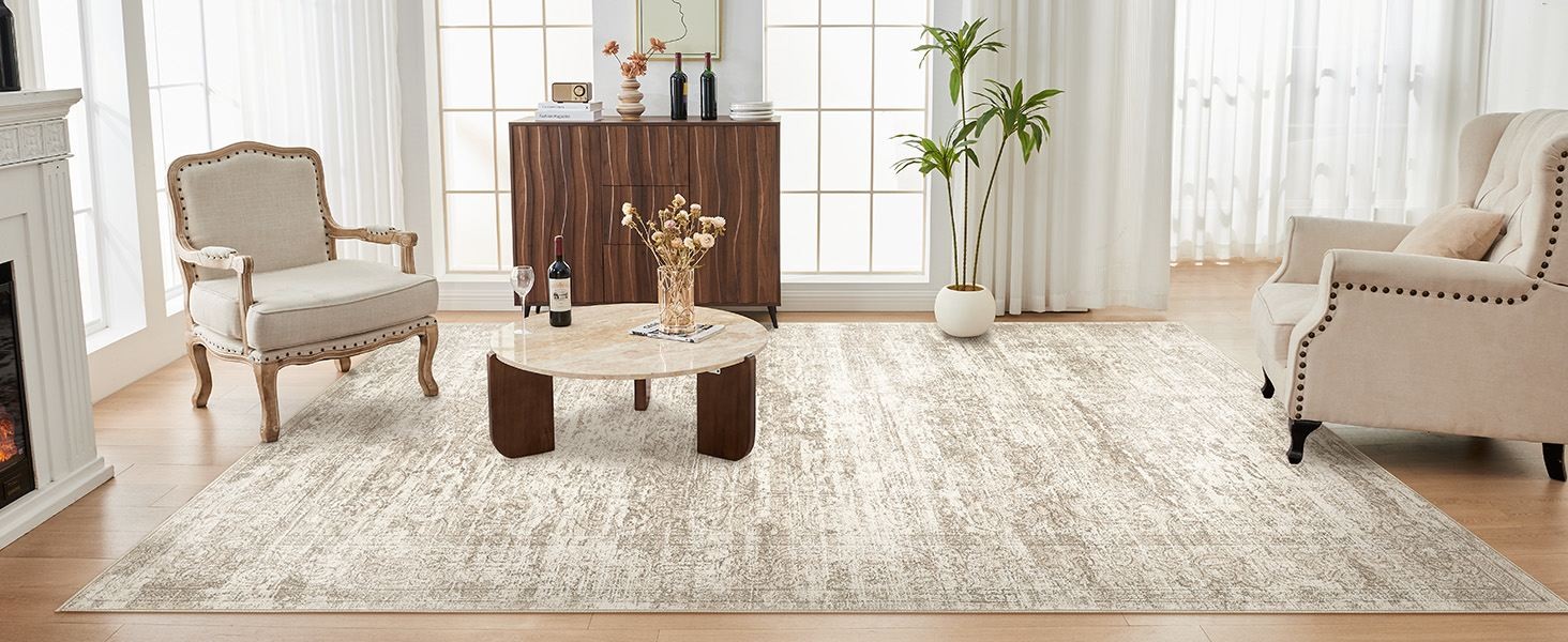Area Rug Living Room Rugs – 6×9 Abstract Large Soft Indoor Washable Rug Neutral