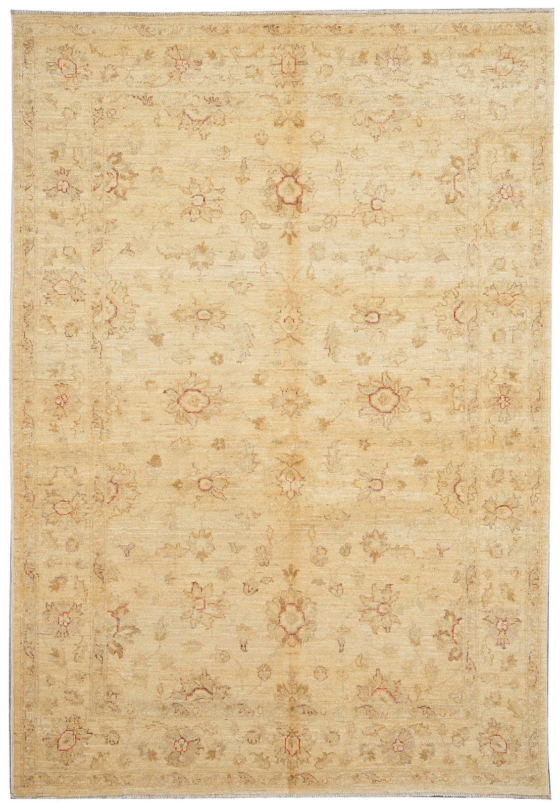 6 x 8.9 Neutral Pale Pastels Beige Gold Wool Hand-Knotted Rug #PIX-20223