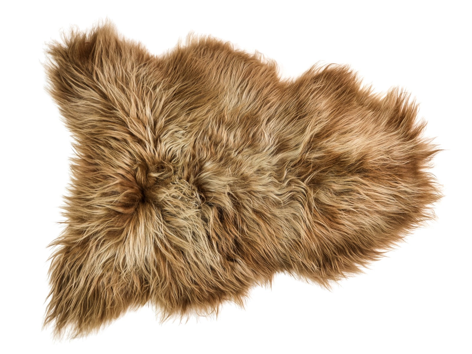 Dyed Real Icelandic Sheepskin: Brown/Blonde (7-10TT-G6439)