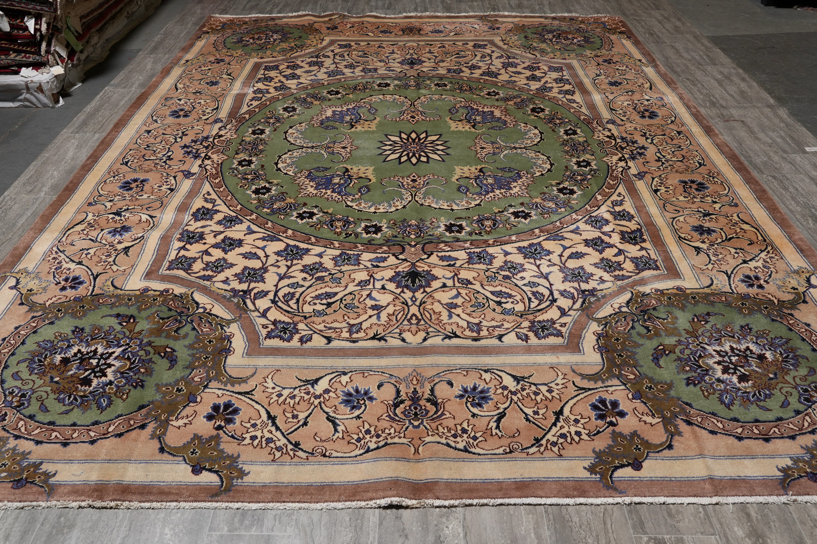 9.9 x 13.6 Unusual French Aubusson Perrsian Kashaan Rug Irran #S10-3353