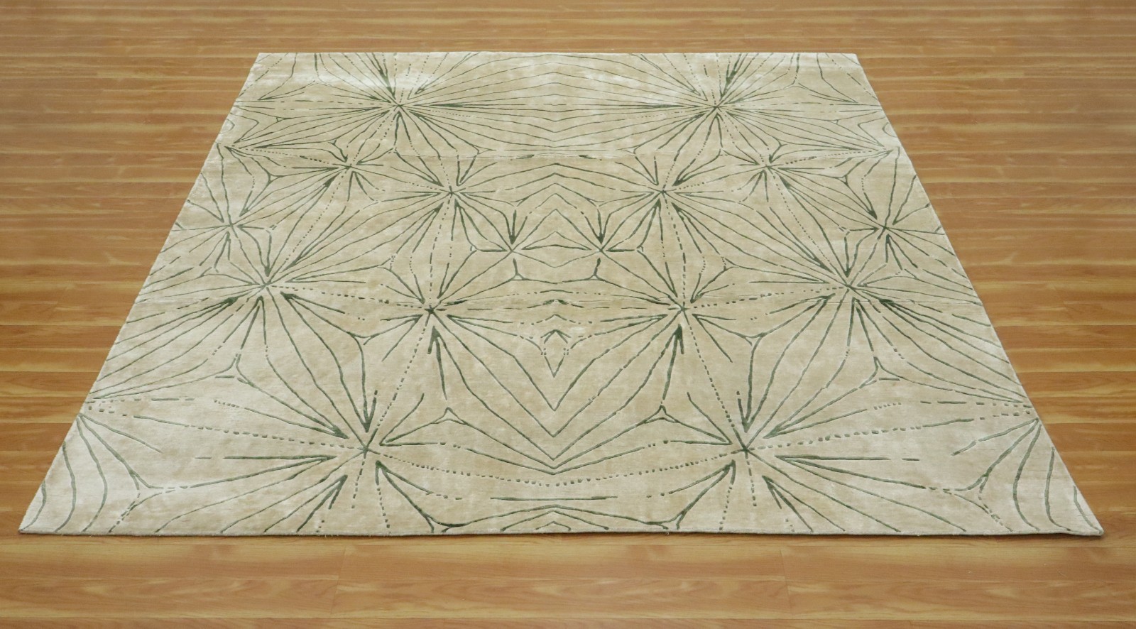Hand Tufted Wool Area Rug Abstract Beautiful Beige Green Living Room Area Carpet