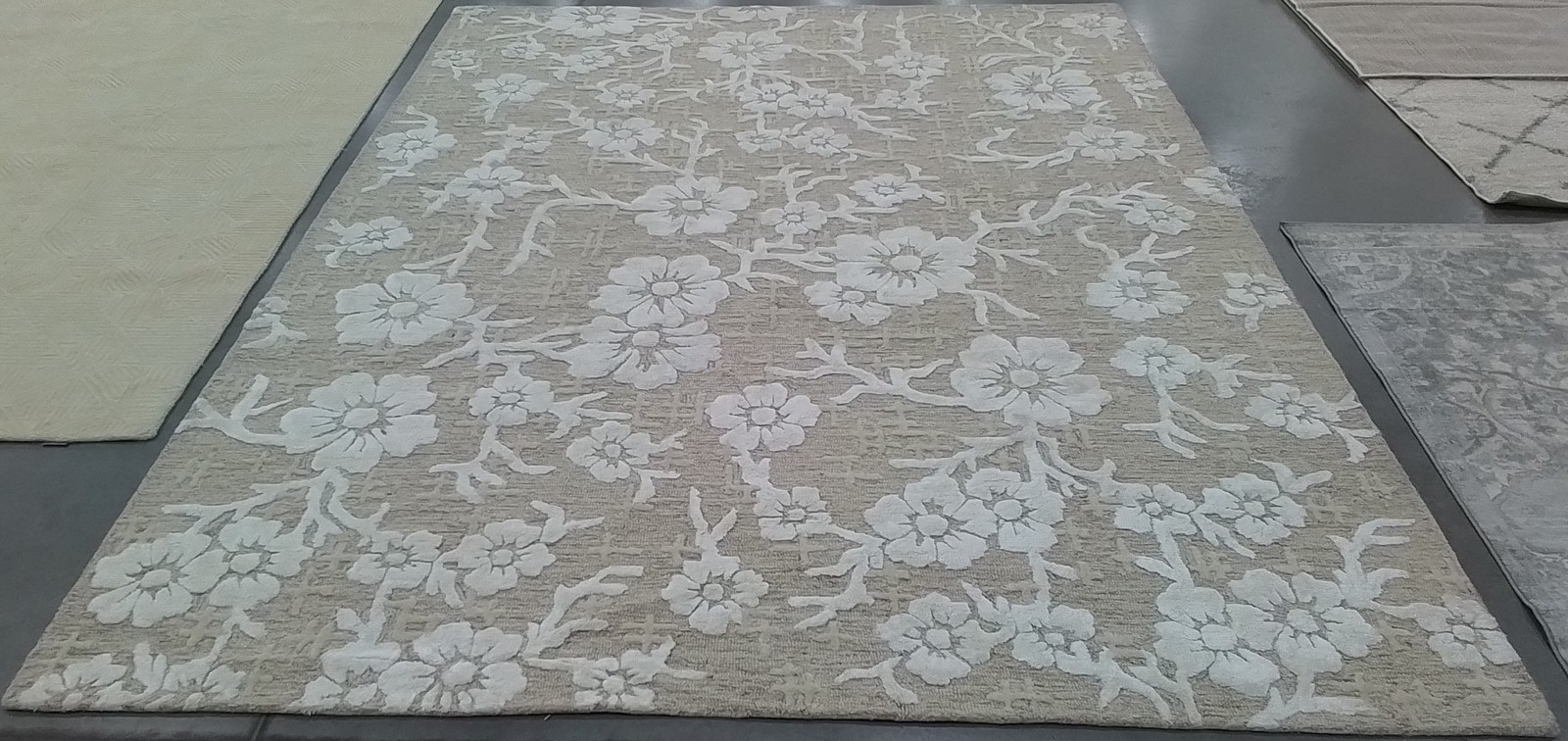 BEIGE / IVORY 8′-0″ x 10′-0″ Back Stain Rug, Reduced Price 1172805076 GLM540B-8