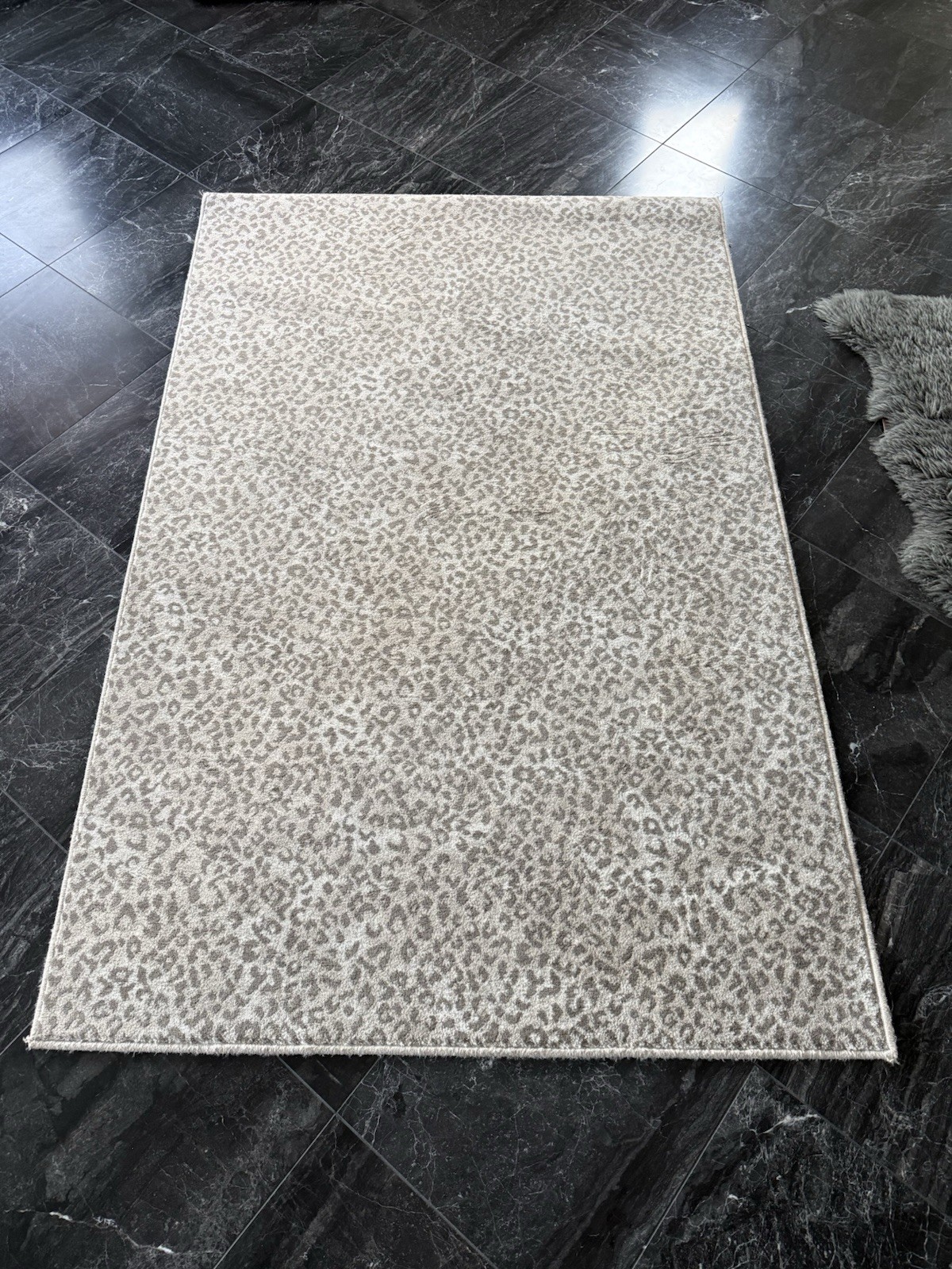 Stark Studio 4 x 6 Kalahari Area Rug