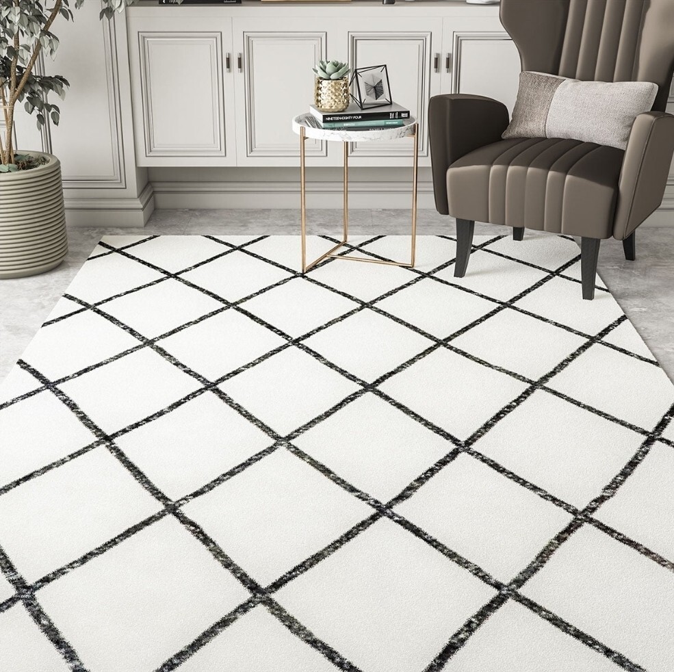 New 4′ X 5’9″ Black And White 100% Polypropylene High Pass Kid Friendly Area Rug