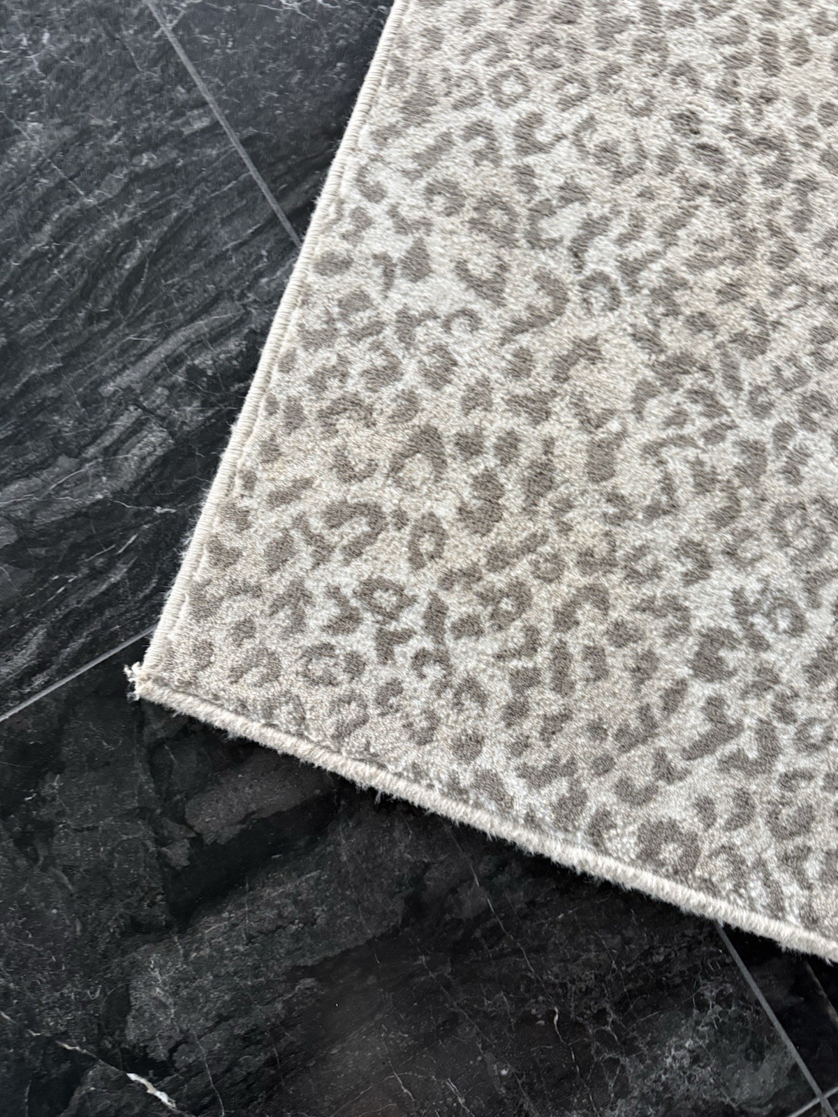 Stark Studio 4 x 6 Kalahari Area Rug