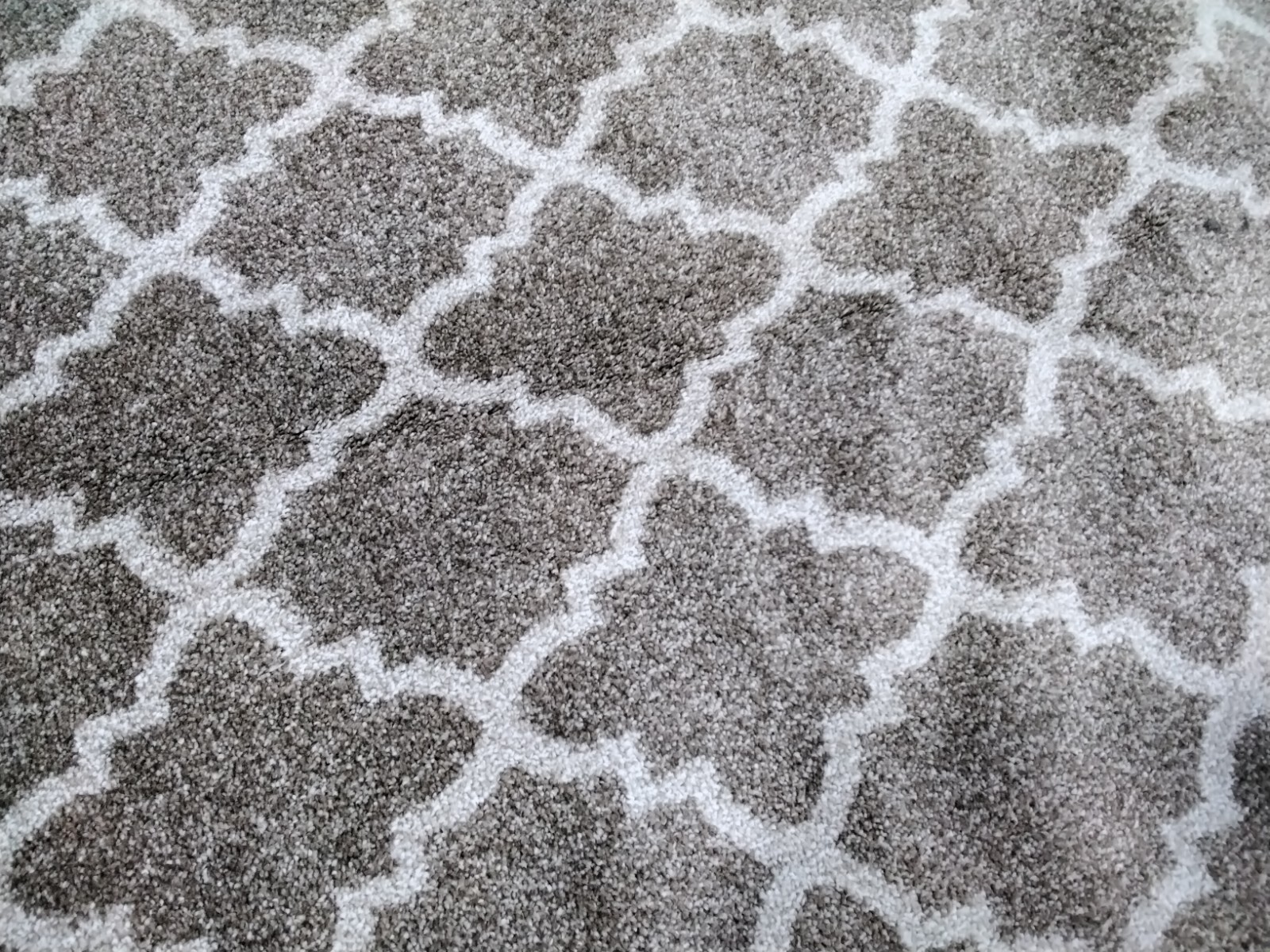 WHEAT / BEIGE 9′ X 12′ Back Stain Rug, Reduced Price 1172754574 AMT422S-9