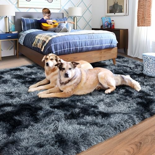 Rugs for Bedroom Living Room, Area Rugs 4×6 Fluffy Bedroom Rug Carpet, Soft