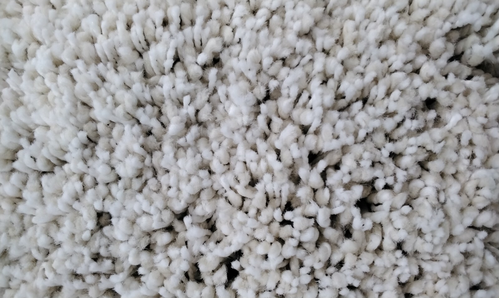 IVORY 6′ X 9′ Stained Rug, Reduced Price 1172705050 SG180-1212-6