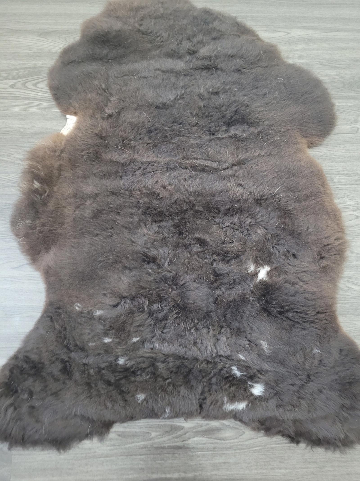 Sheepskin rug, soft Dense wool rare color 100% natural #B683