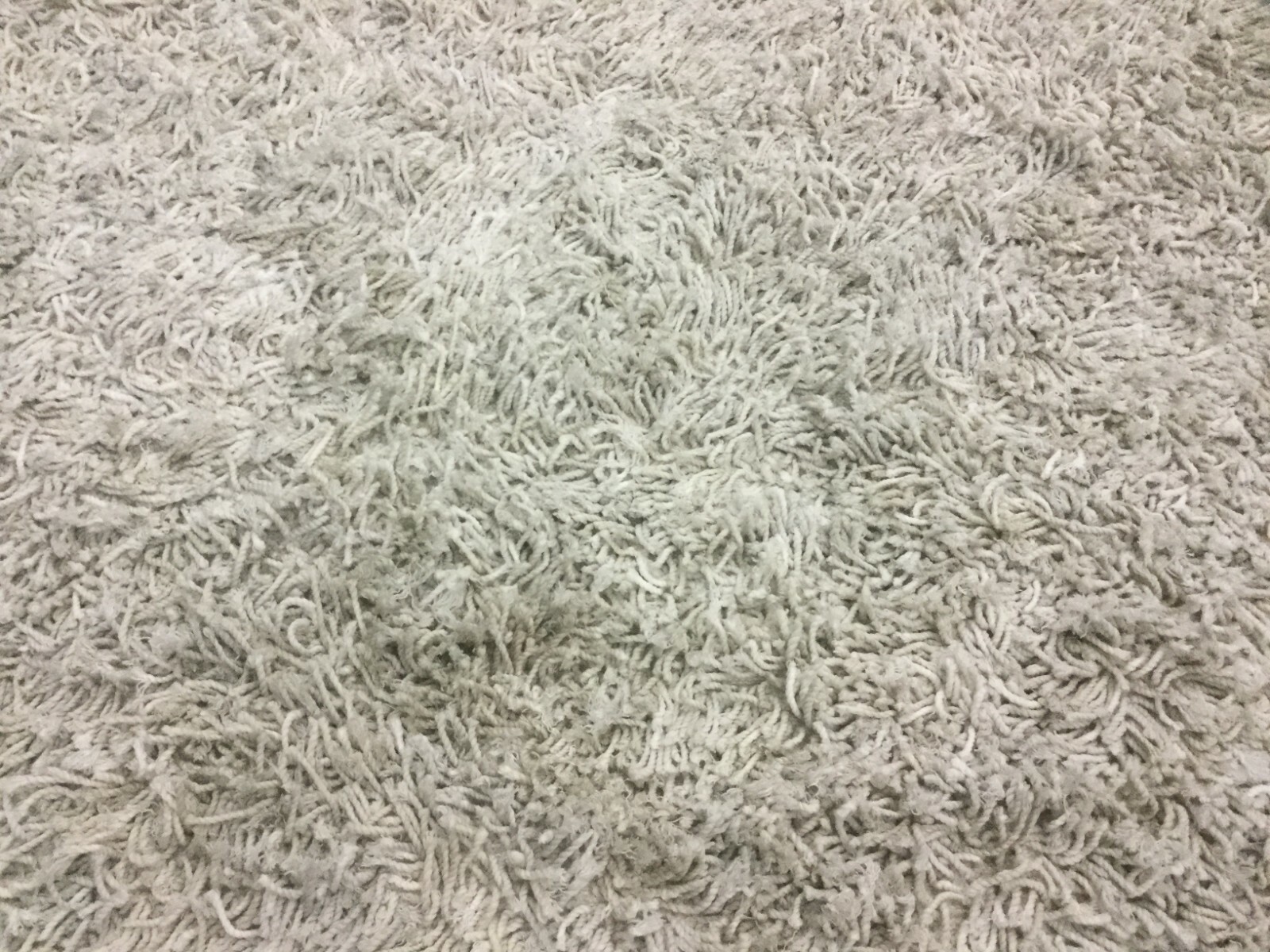 IVORY 6′ X 6′ Square Pulled Threads Rug, Reduced Price 1172642976 SG960B-6SQ
