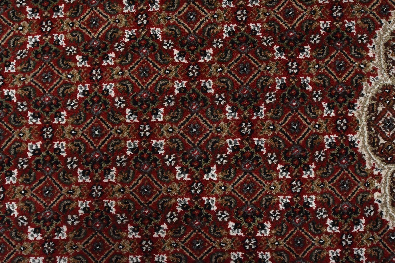 Fine Oriental Rug 9’10” x 13’11” Red Wool Traditional Hand-Knotted Carpet