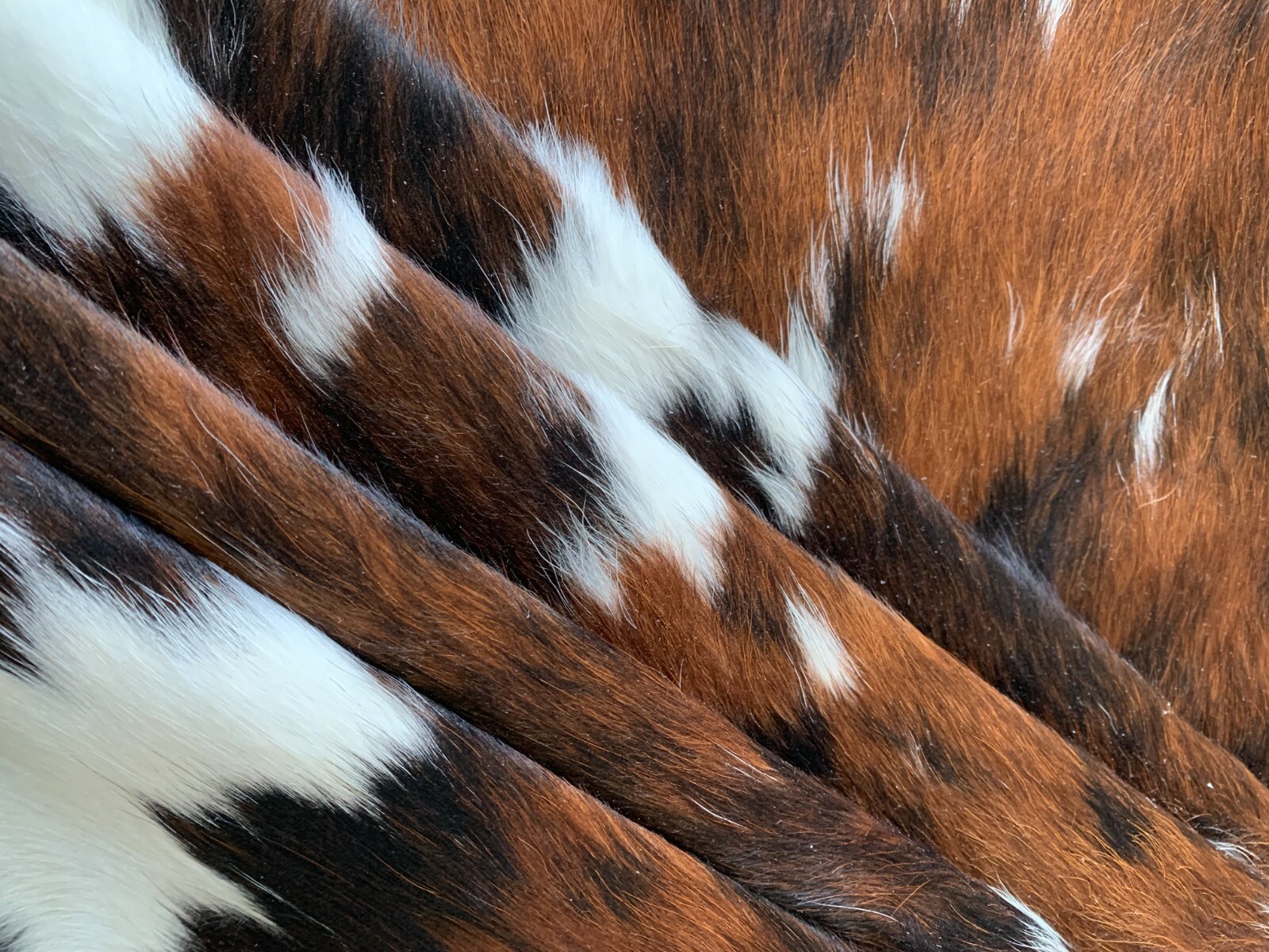Tricolor Cow Hide Real Skin Leather Rug – Average Size 6X6 feet New Cowhide Rug