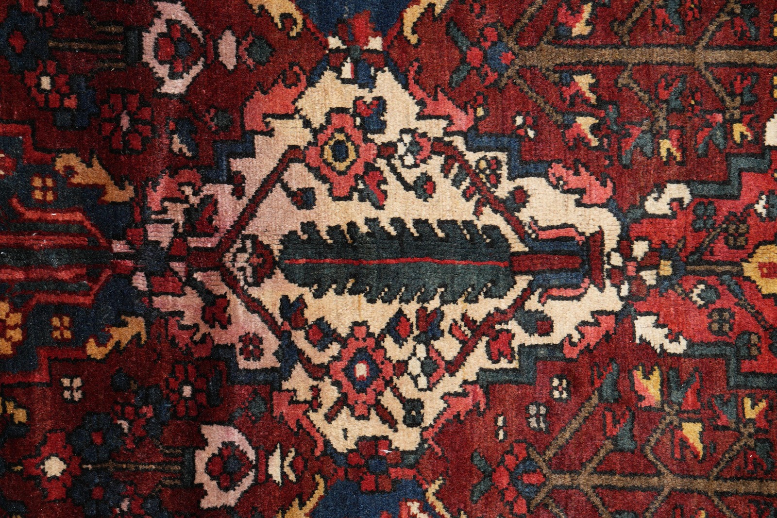 10.7 x 12.7 Tribbal Perrsian Bakhtiaar Garden Semi-Antique Rug #F-4108