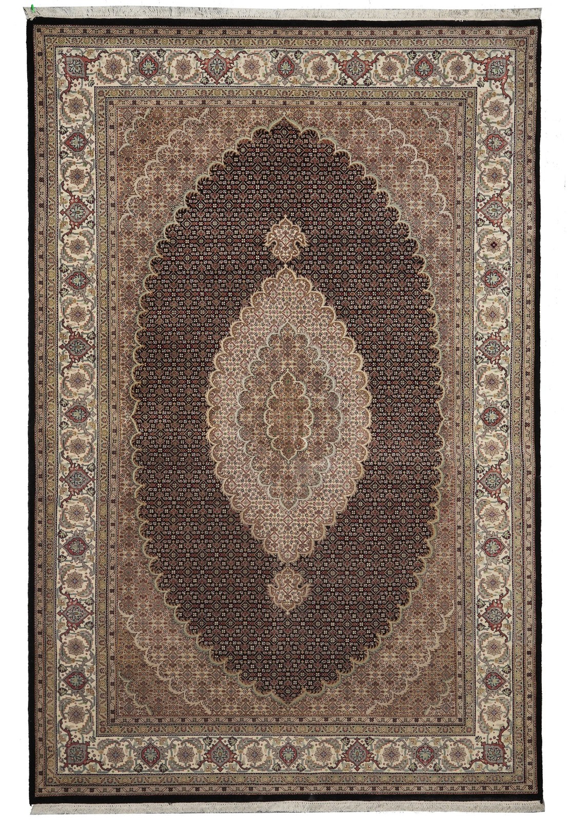 6.9 x 10 Tribbal Traditional Perrsian Vibrant Hamadan Living Room Rug #F-3061