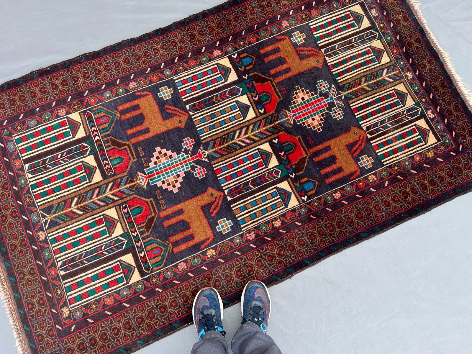 3×6 Rare Baluchi Pictorial Rug Afghan Wool Carpet Animal Village Folk Art Decor