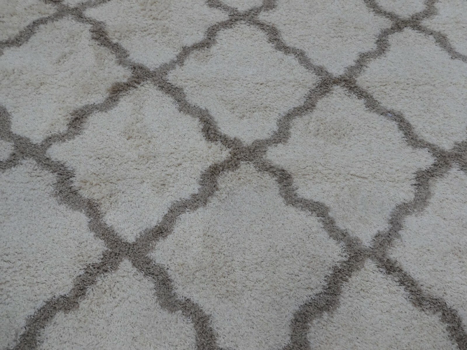 IVORY / BEIGE 8′ X 10′ Back Stain Rug, Reduced Price 1172614102 SGD257B-8