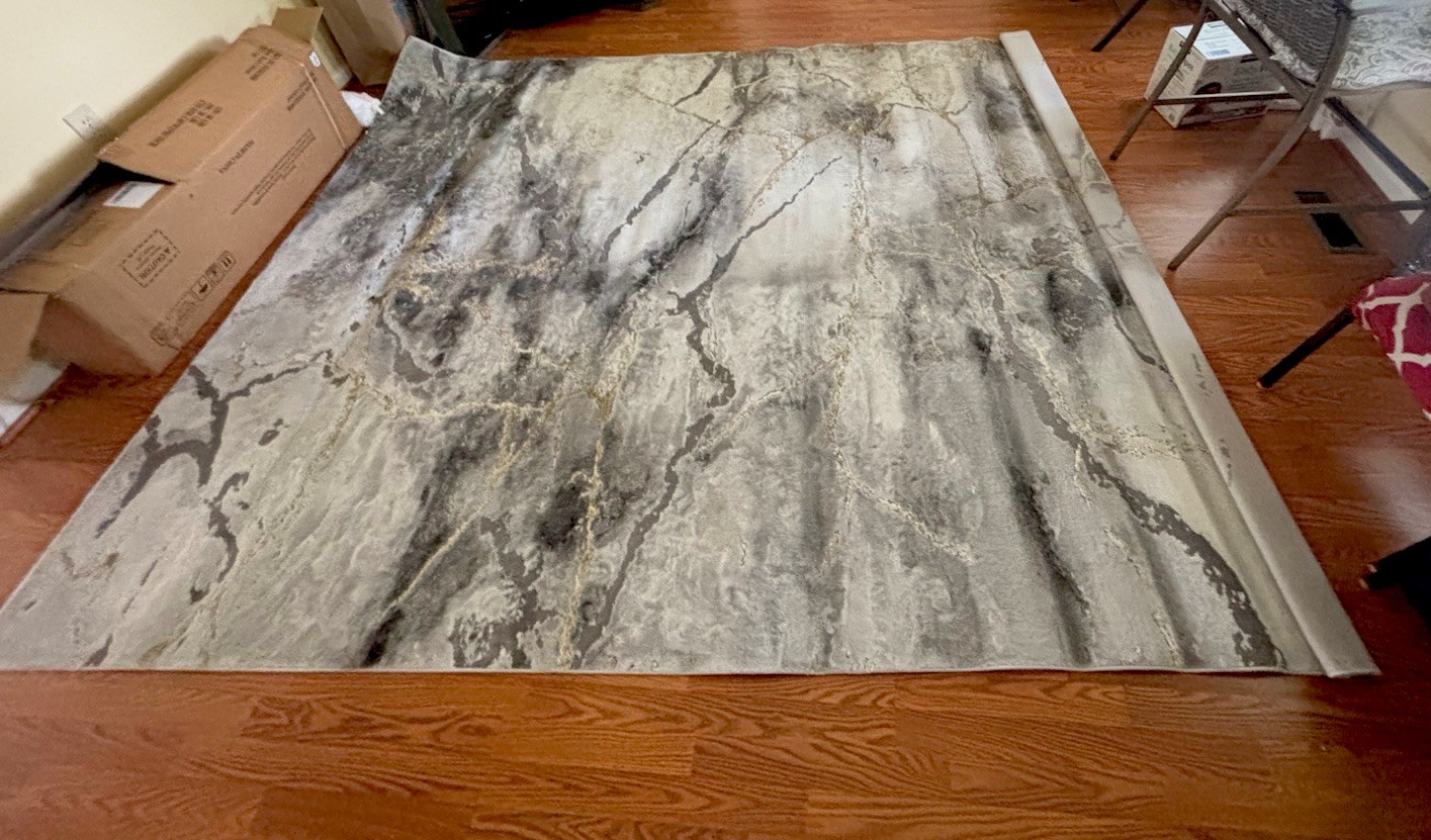 Grey and Gold 8 x 10 Rug. Unused. Still In very Very Good Condition.