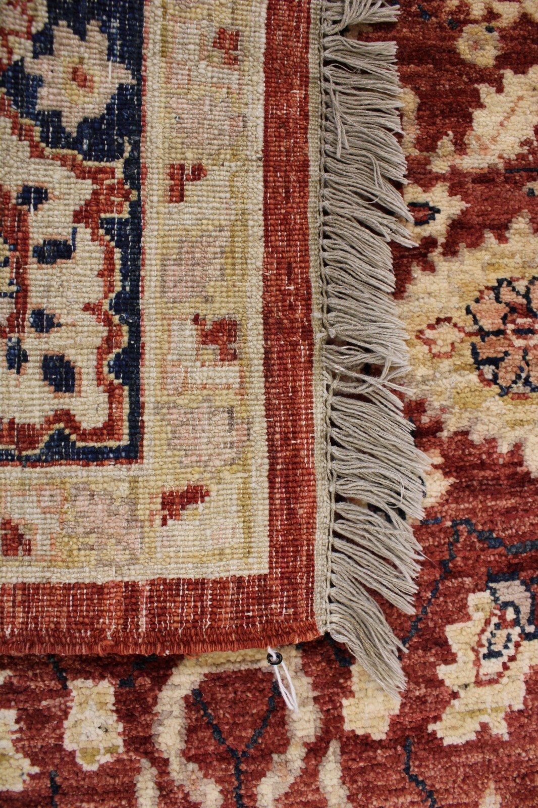 8’0″ x 11’0″ ft. Indo Tufted Vegetable Dye Wool Traditional Area Rug