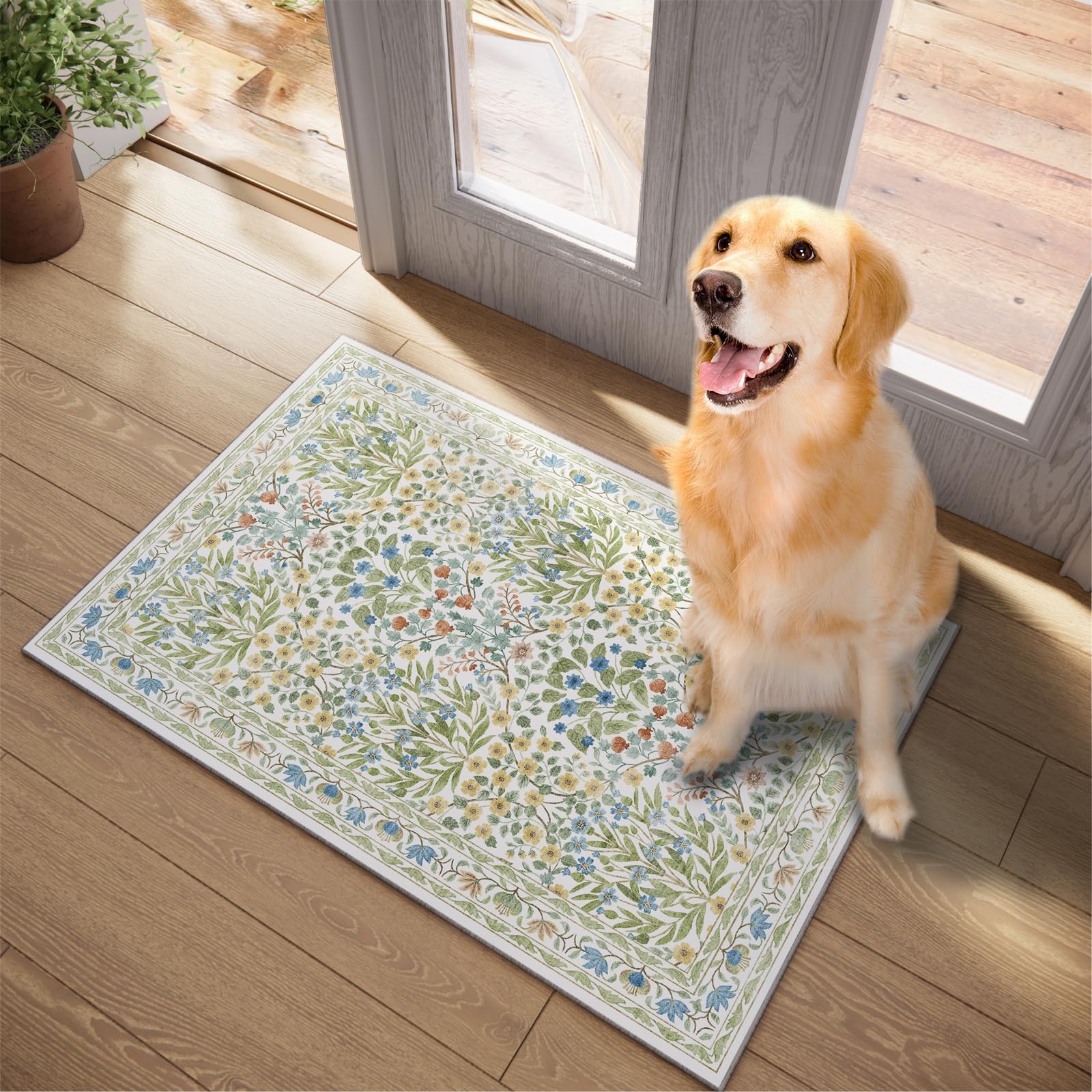 Washable Entry Rug 2×3 Feet, Non-Slip Indoor Entryway Bathroom Kitchen Mat, V…