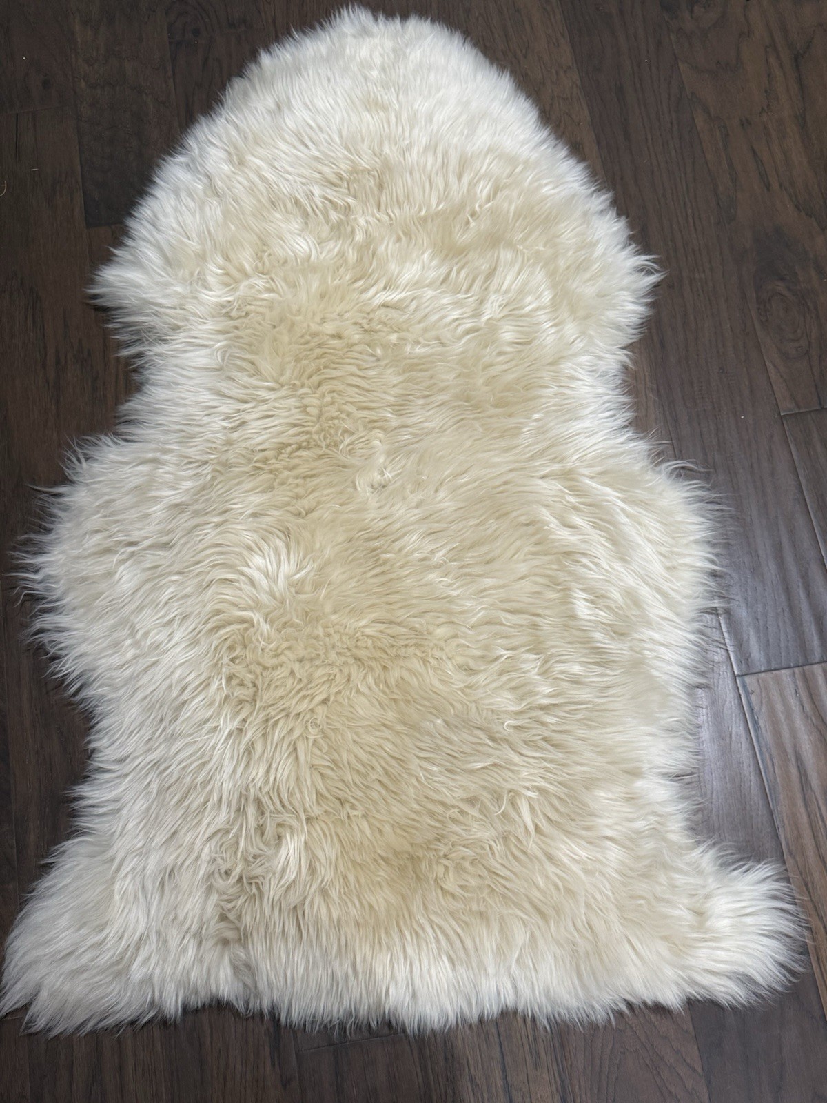 Pottery Barn Torin Longhair Sheepskin Hide Rug New! 2’X3’ Ivory Read MSRP $219