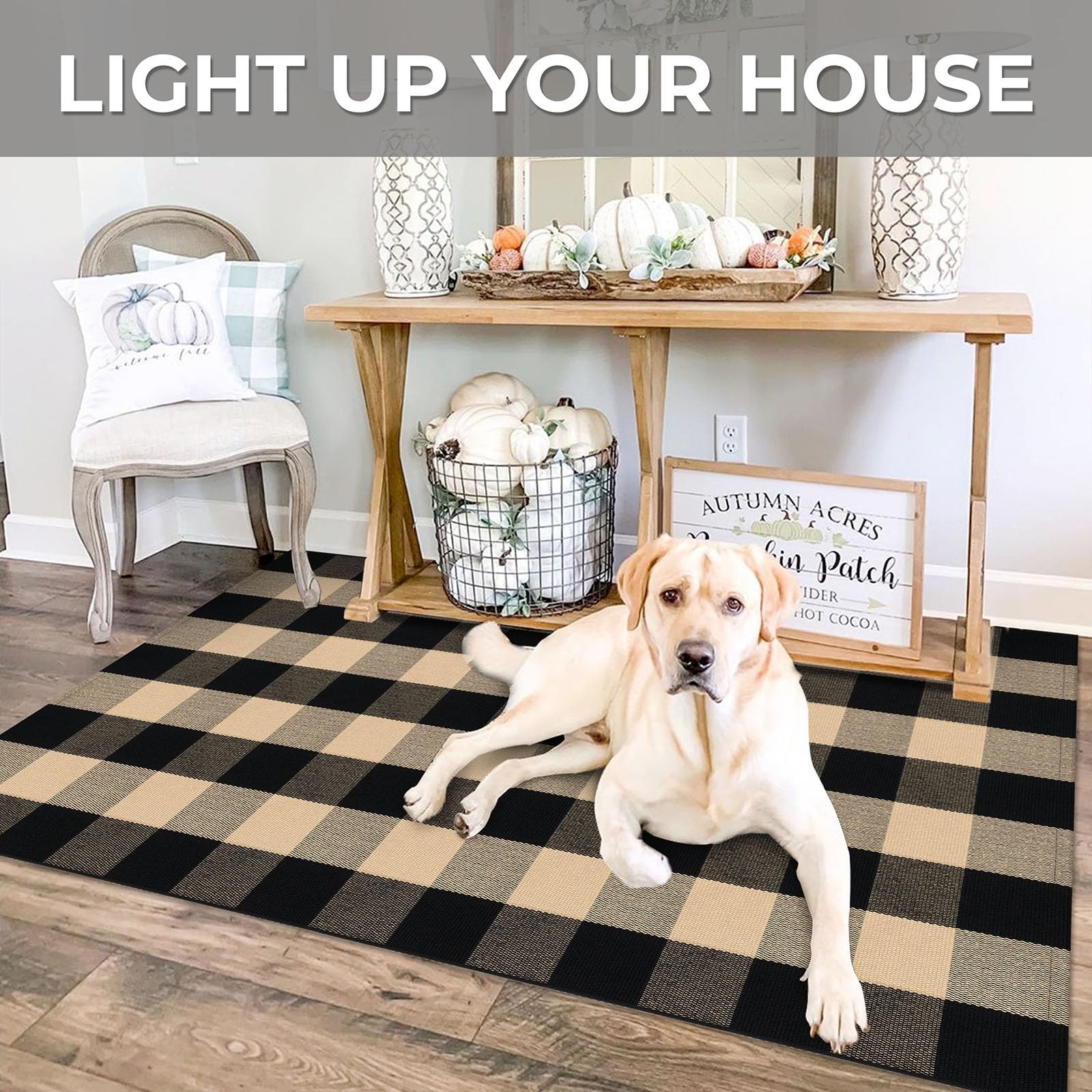 Buffalo Plaid Checkered Rug 4×6 Ft Front Door Mats, Washable Area Rugs for Fr…