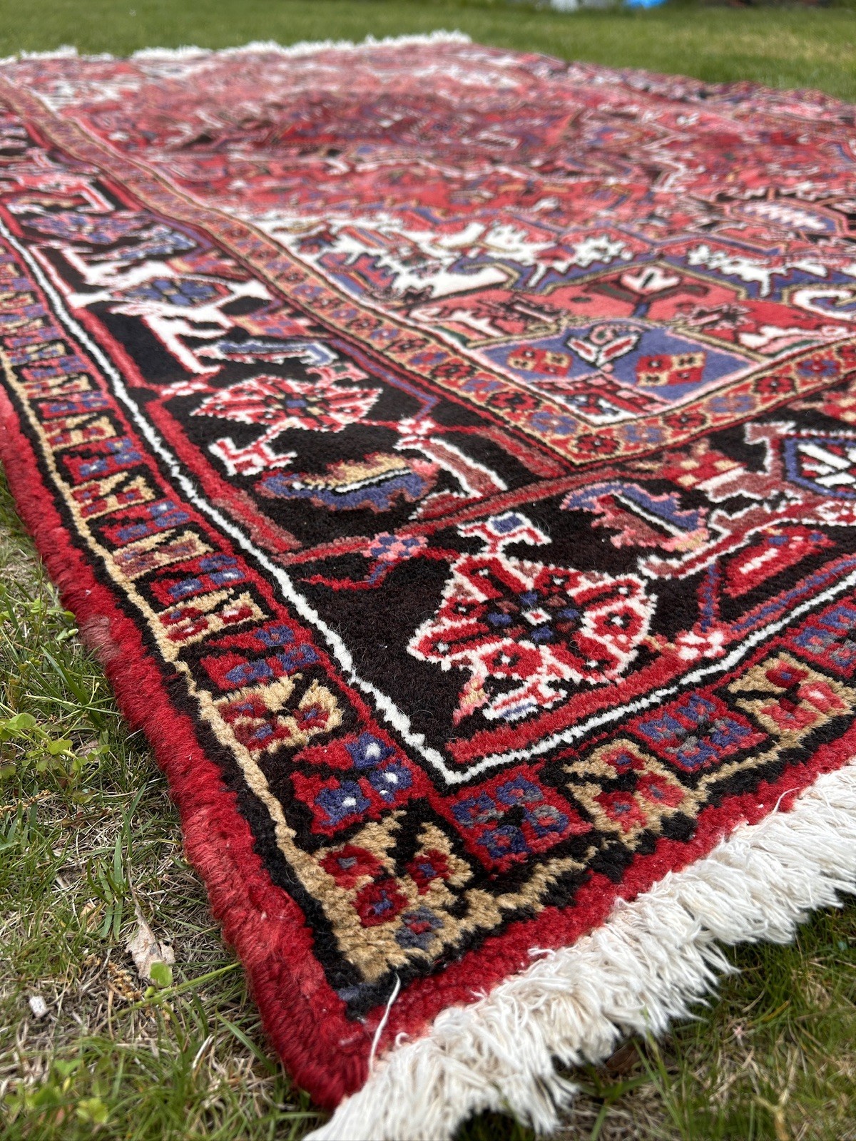 Handmade Fine Wool Area Rug Mid Century 9ft 10 8in 6ft 2 in