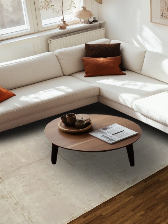 Contemporary Beige Rug 7×10 Ft Distressed Look Turkish Carpet Modern Area Rug