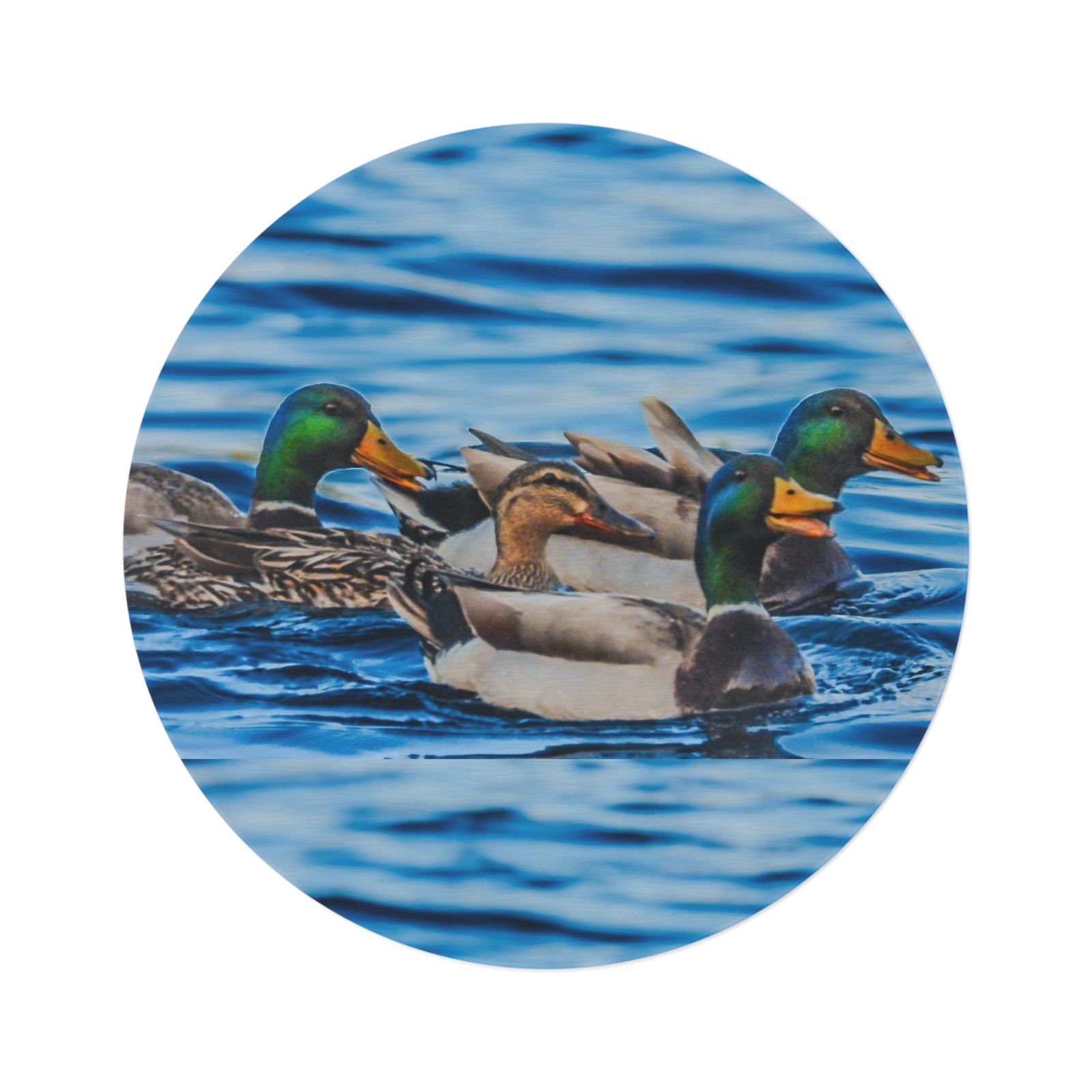 Mallard Ducks Water Scene Round Rug | Wildlife Pond Decor