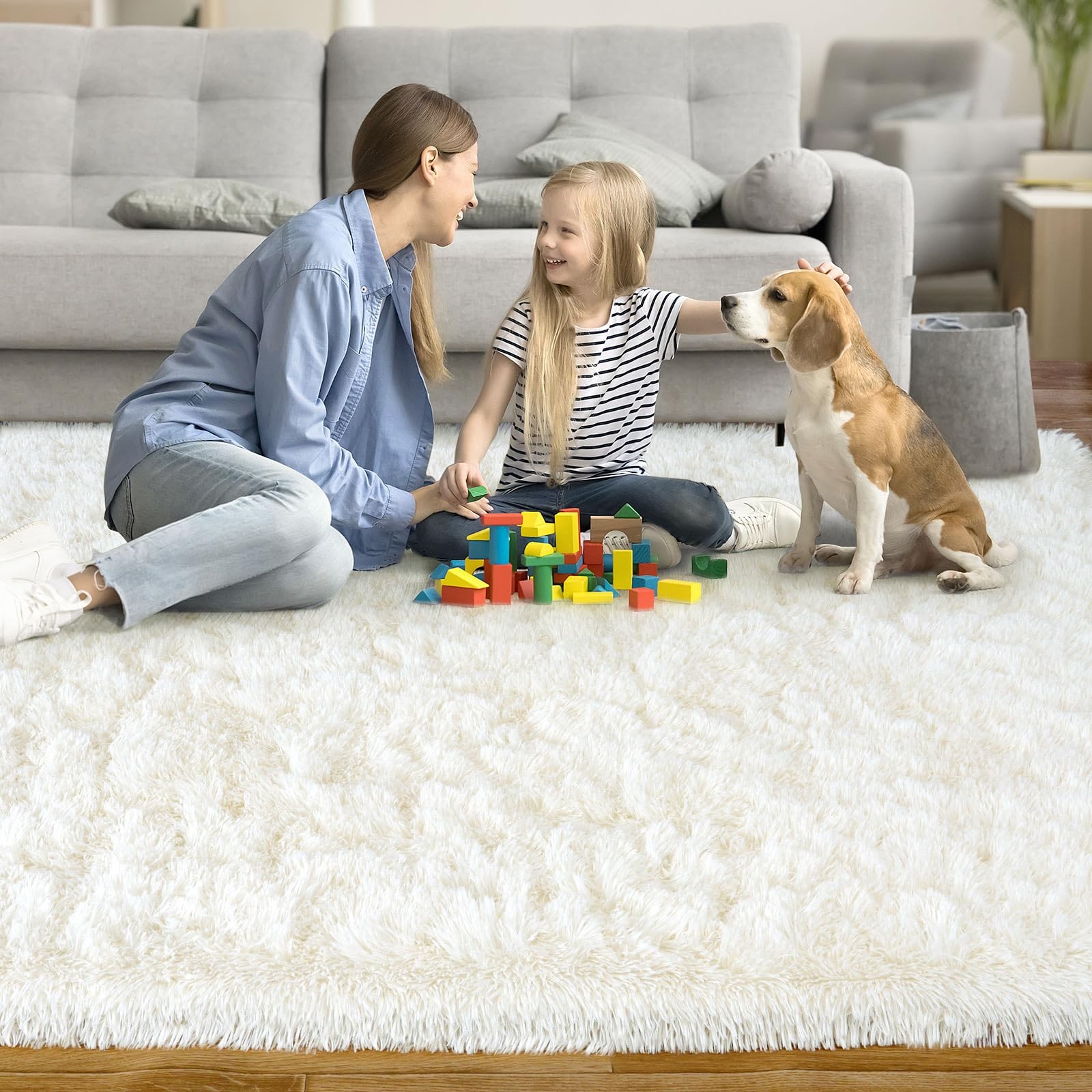 Area Rug for Living Room 6×9, Ultra Soft Shaggy Area Rugs for Bedroom, Upgrad…