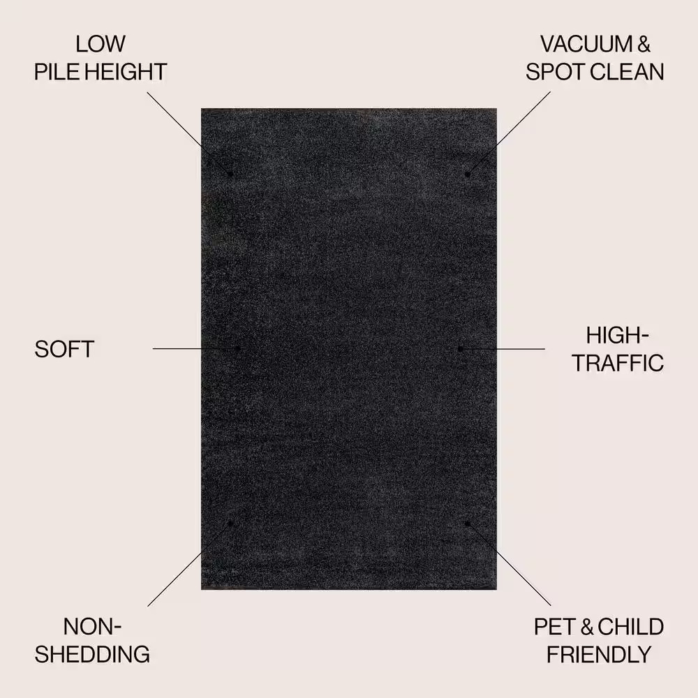 Haze Solid Low-Pile Black 8 Ft. X 10 Ft. Area Rug