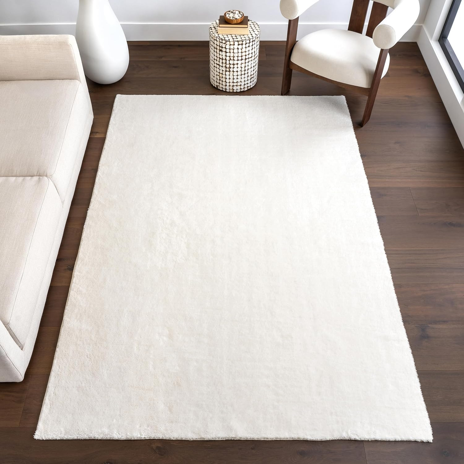 2′ X 3′ Cozy Plush Area Rug, Machine Washable, Non-Slip, Soft Fluffy Shag Carpet