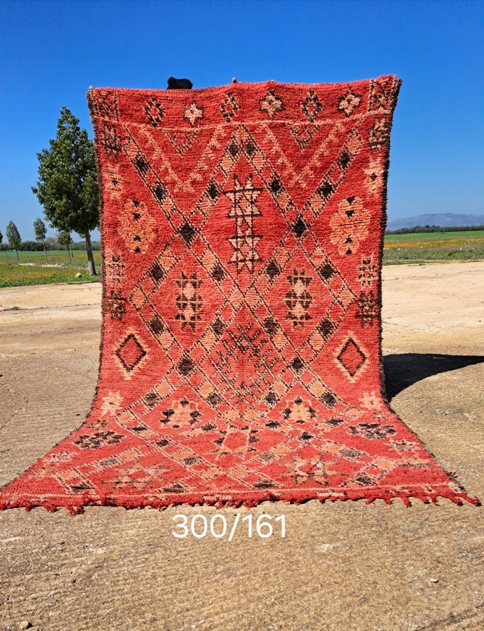Vintage Handmade Moroccan Tribal Red Wool Floor Rug 6’ x 10’