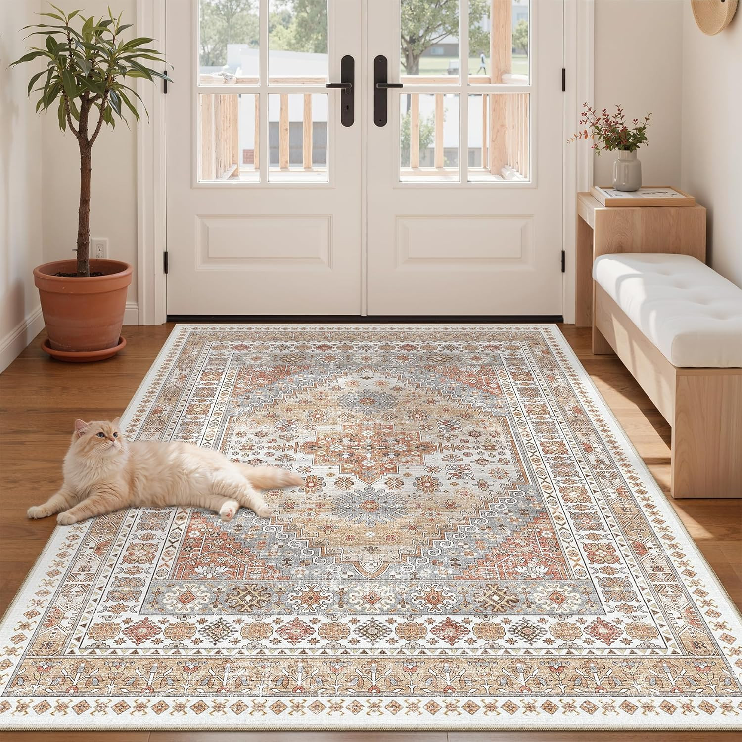 3X5 Area Rug Ultra Soft Washable Rug, Non Slip Area Rug Indoor Entrance, Stain R