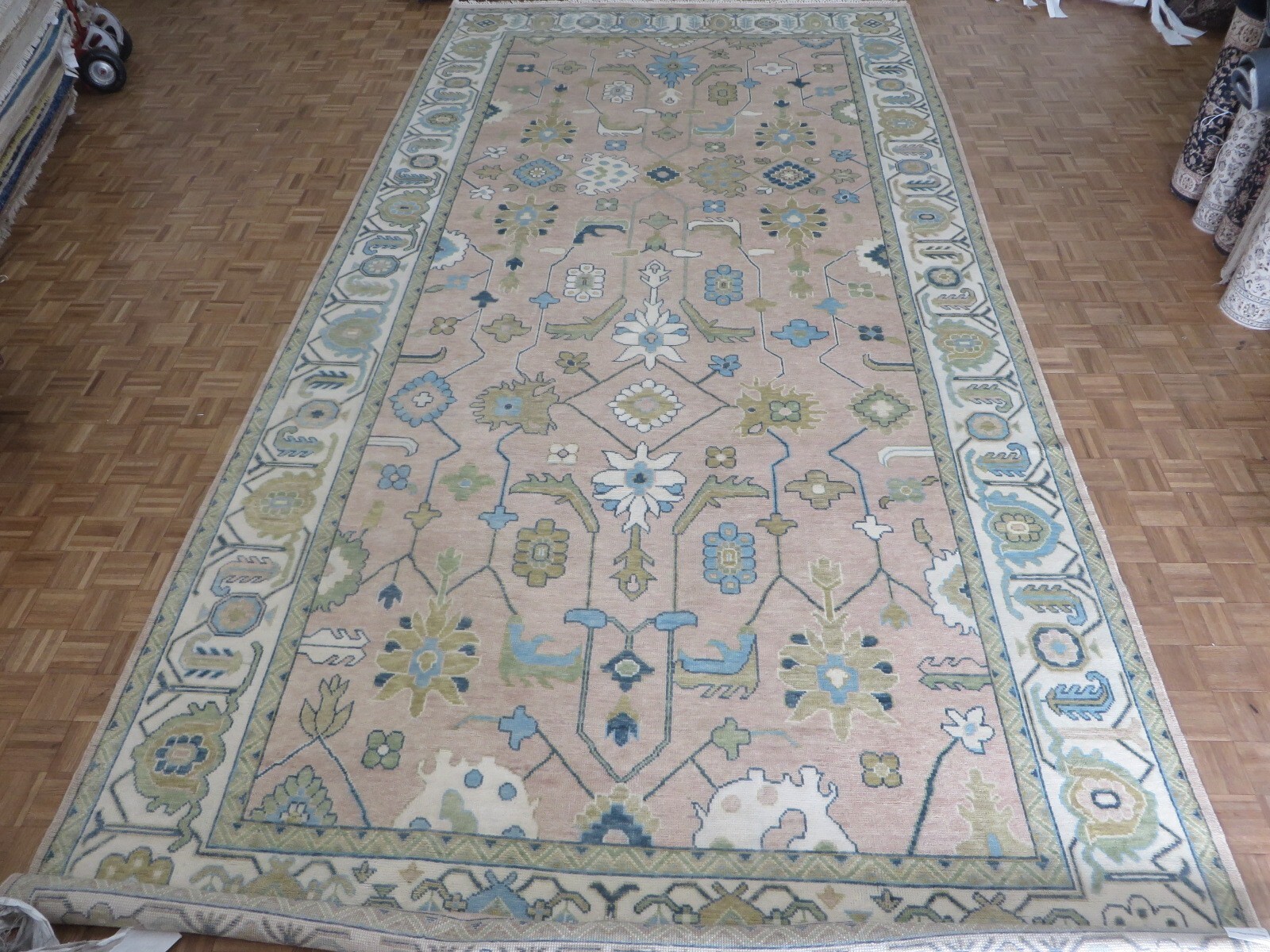 9’10 x 19’9 Hand Knotted Pink Oushak Oriental Rug G15539
