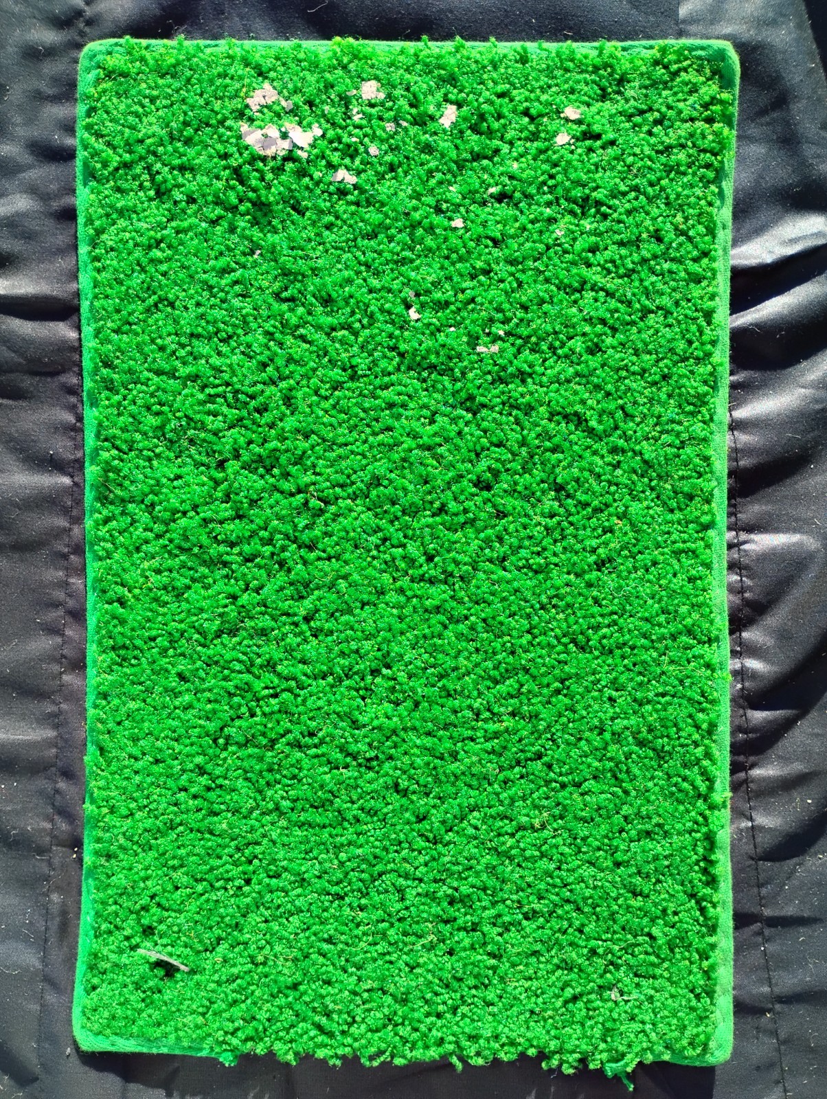 NEW/Vintage MCM Carpet Sample Demo SHAG Showroom Early 70’s Green 18.1″x11.6″