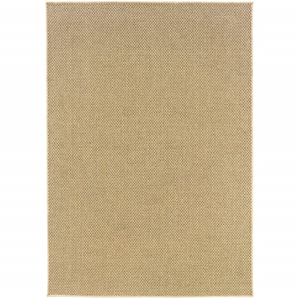 2′ X 4′ Beige Indoor Outdoor Area Rug