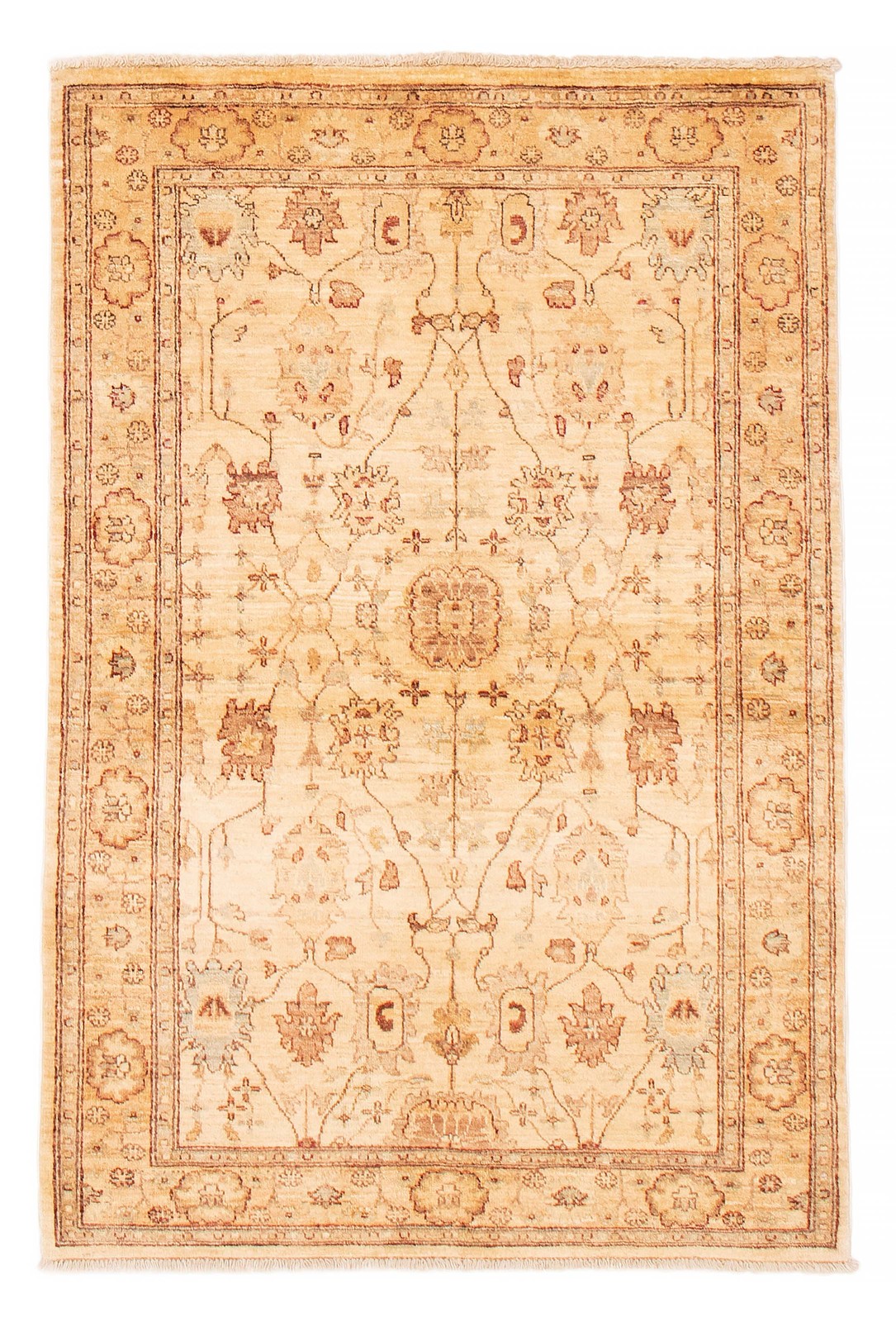Hand Knotted Area Rug 4’0″ x 6’0″ Traditional Oriental Wool Carpet